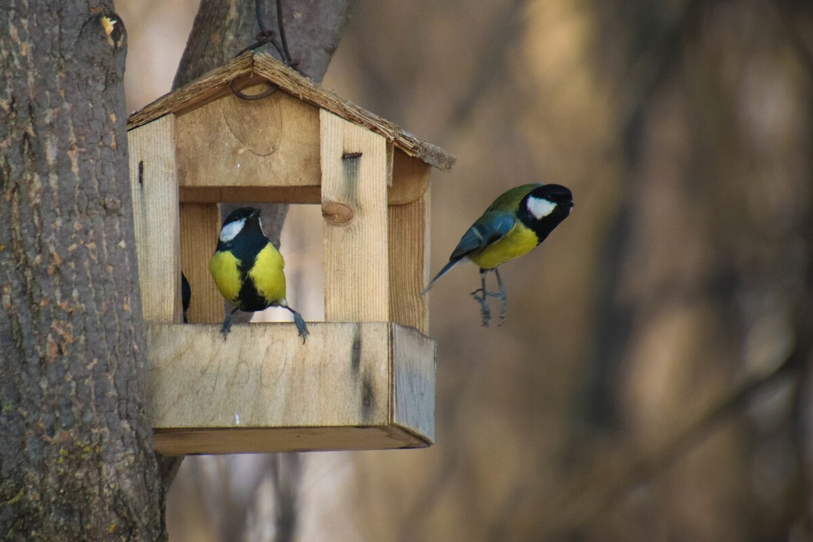 В Башкирии погода преподнесет неприятный сюрприз