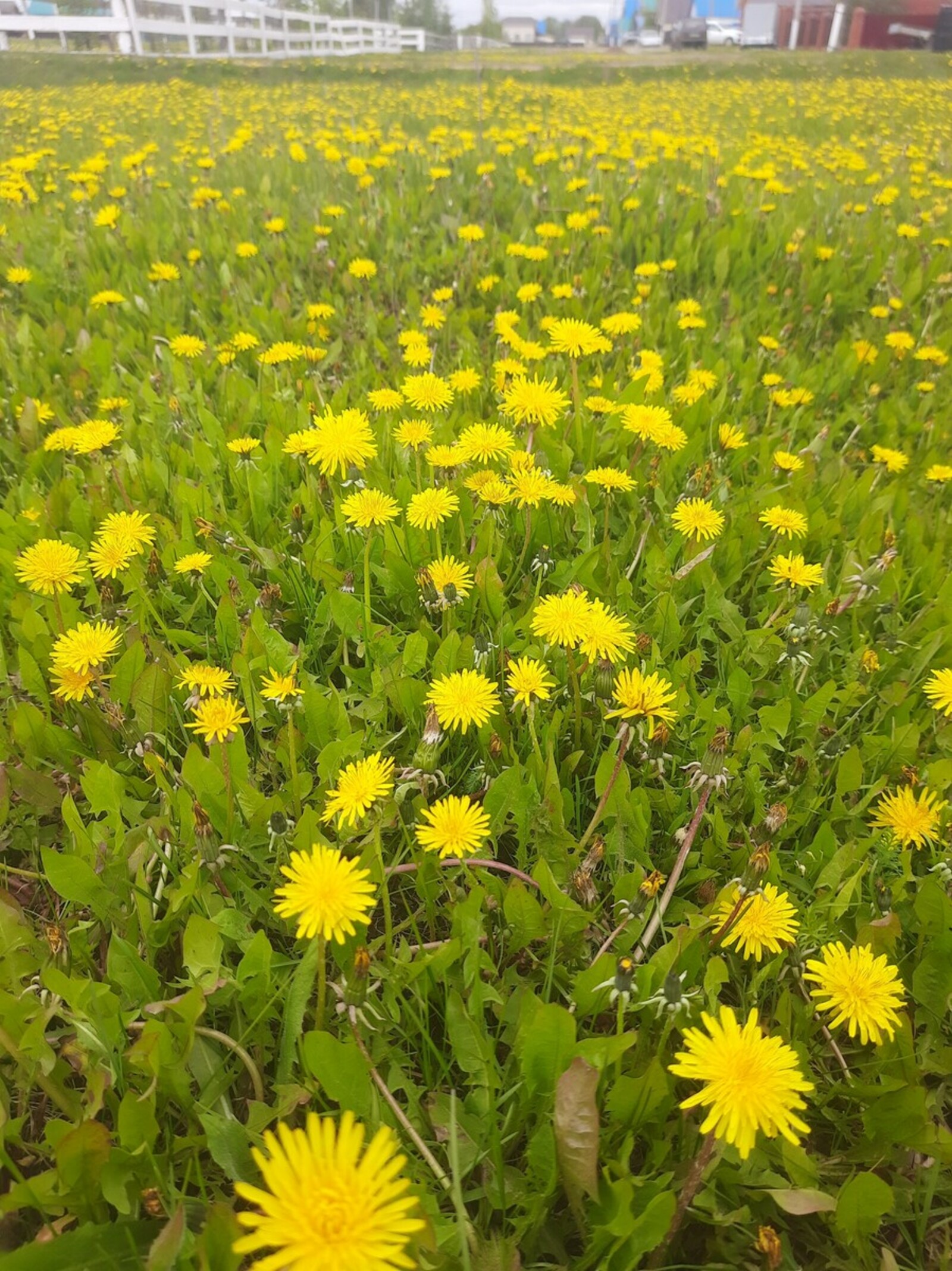 В Башкирии ожидается резкое потепление