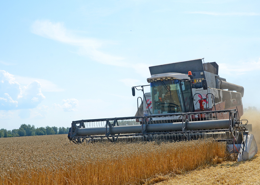 Кучербаевцы достигают высоких урожаев