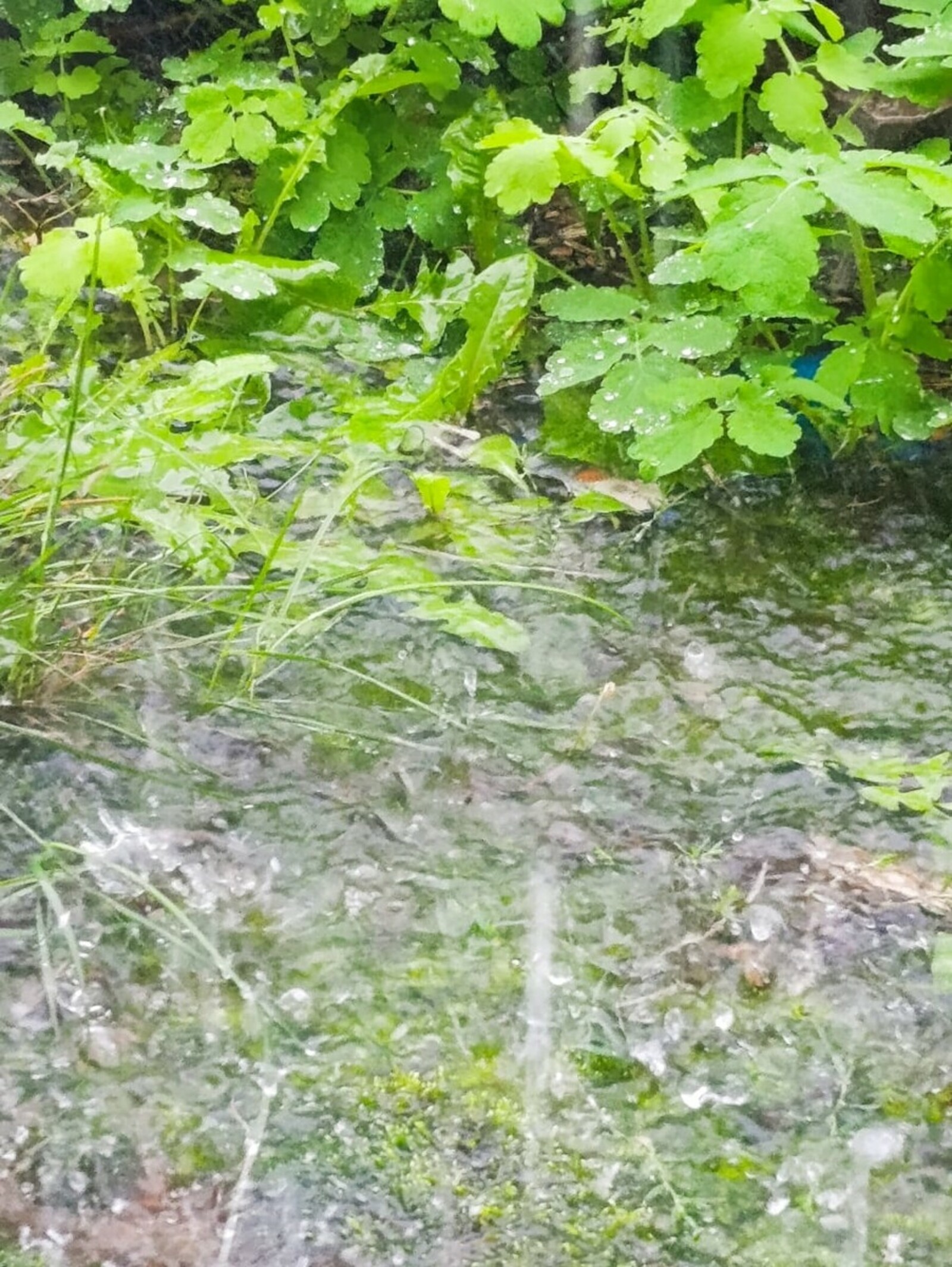 На майские праздники погода испортится