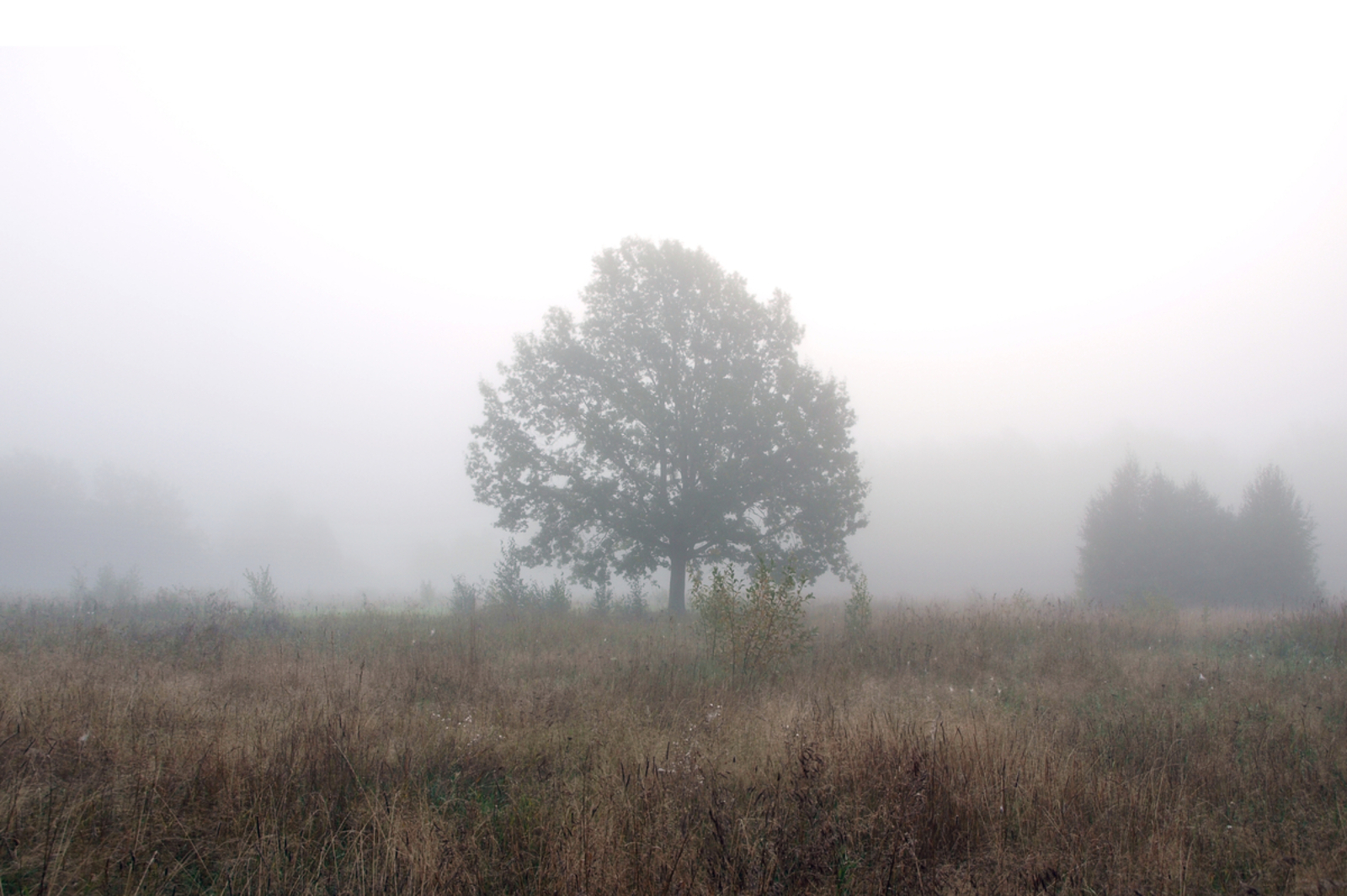 В Башкирии вернется теплая погода