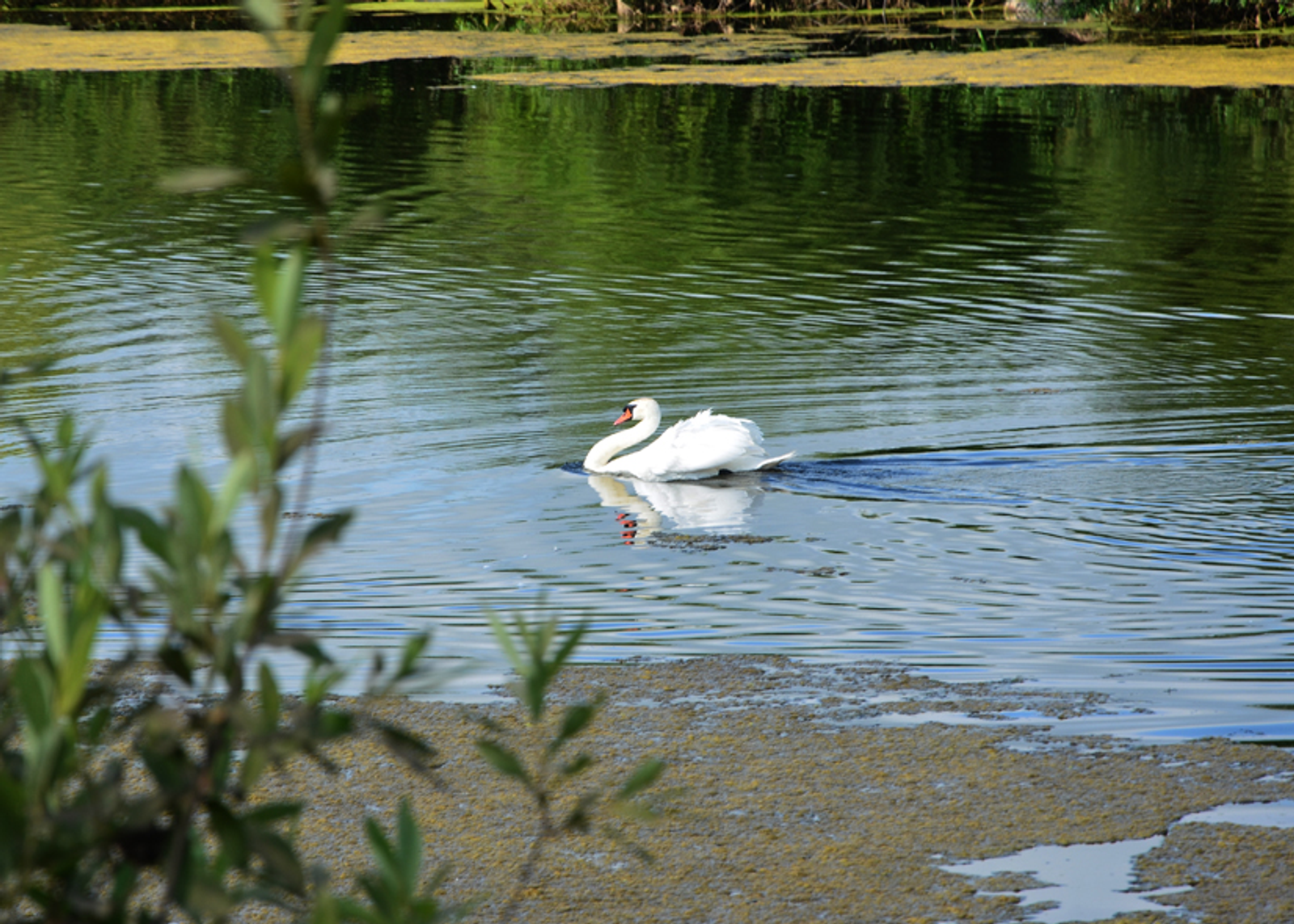 Жителей Башкирии ждет короткая рабочая неделя