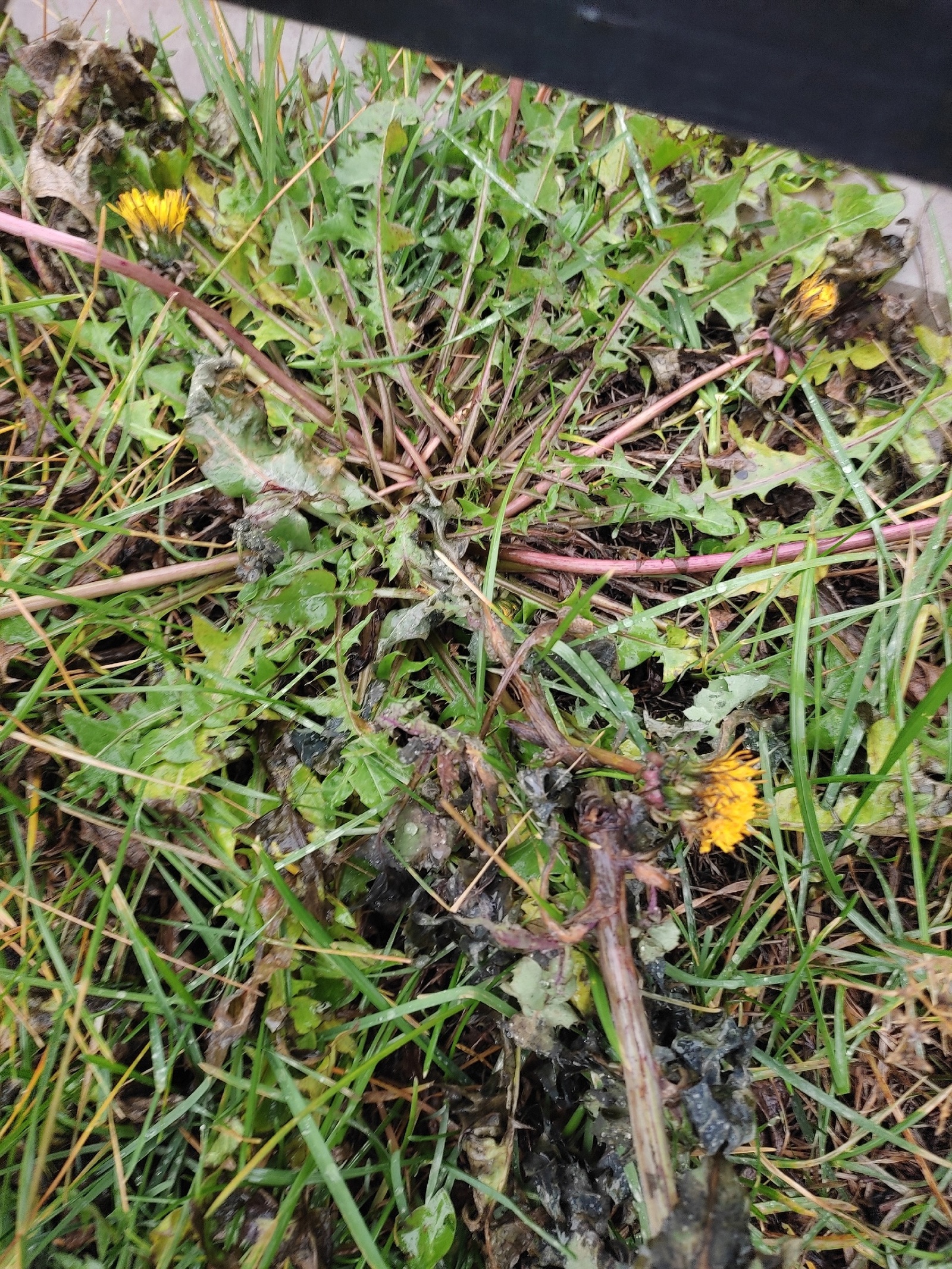 Стало известно, какая погода ждет жителей Башкирии на предстоящих праздниках