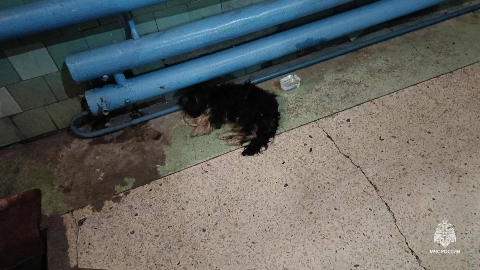 В Нефтекамске произошла история, которая тронула до глубины души