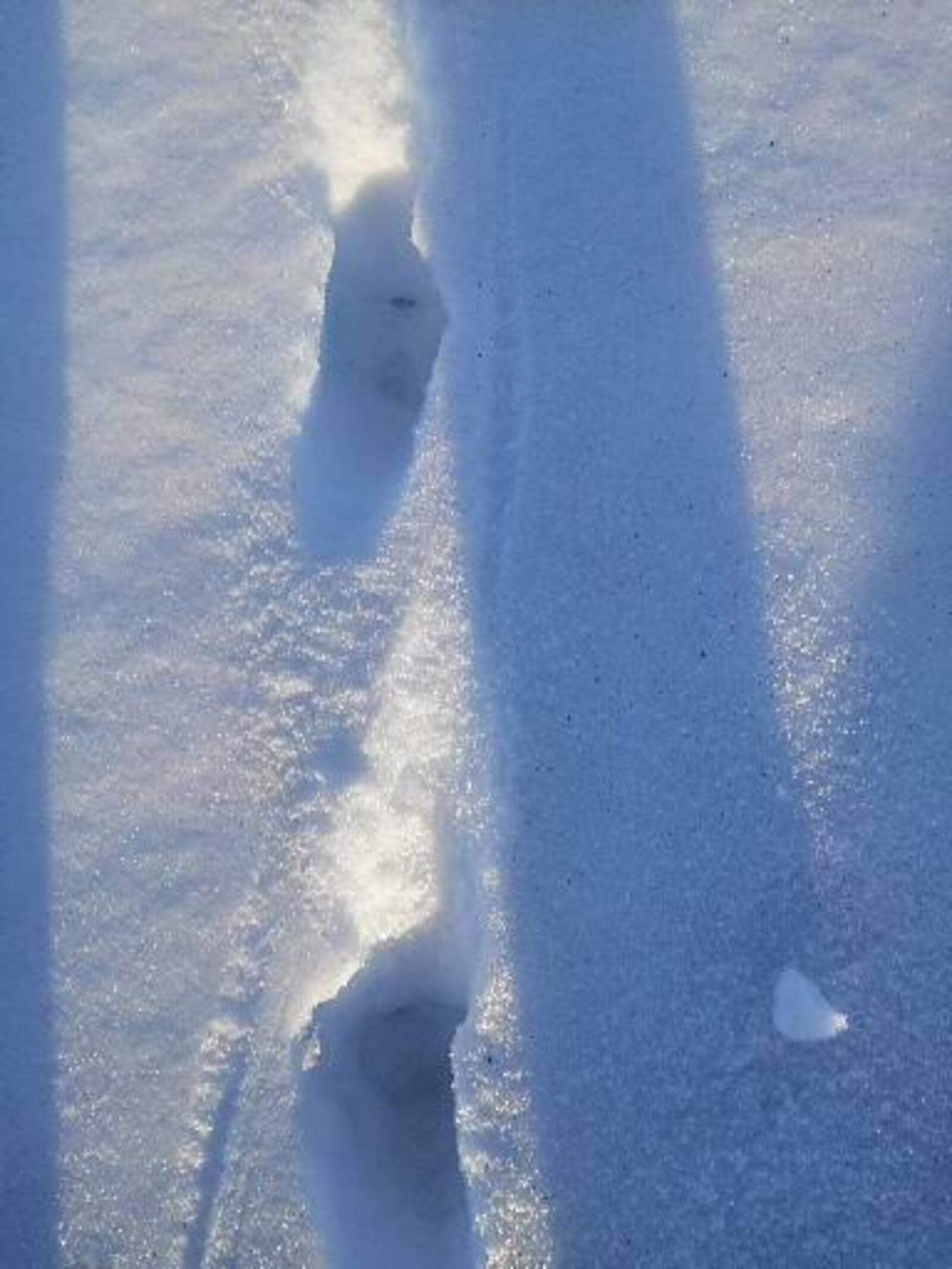 Сегодня — самый короткий день и самая длинная ночь в году