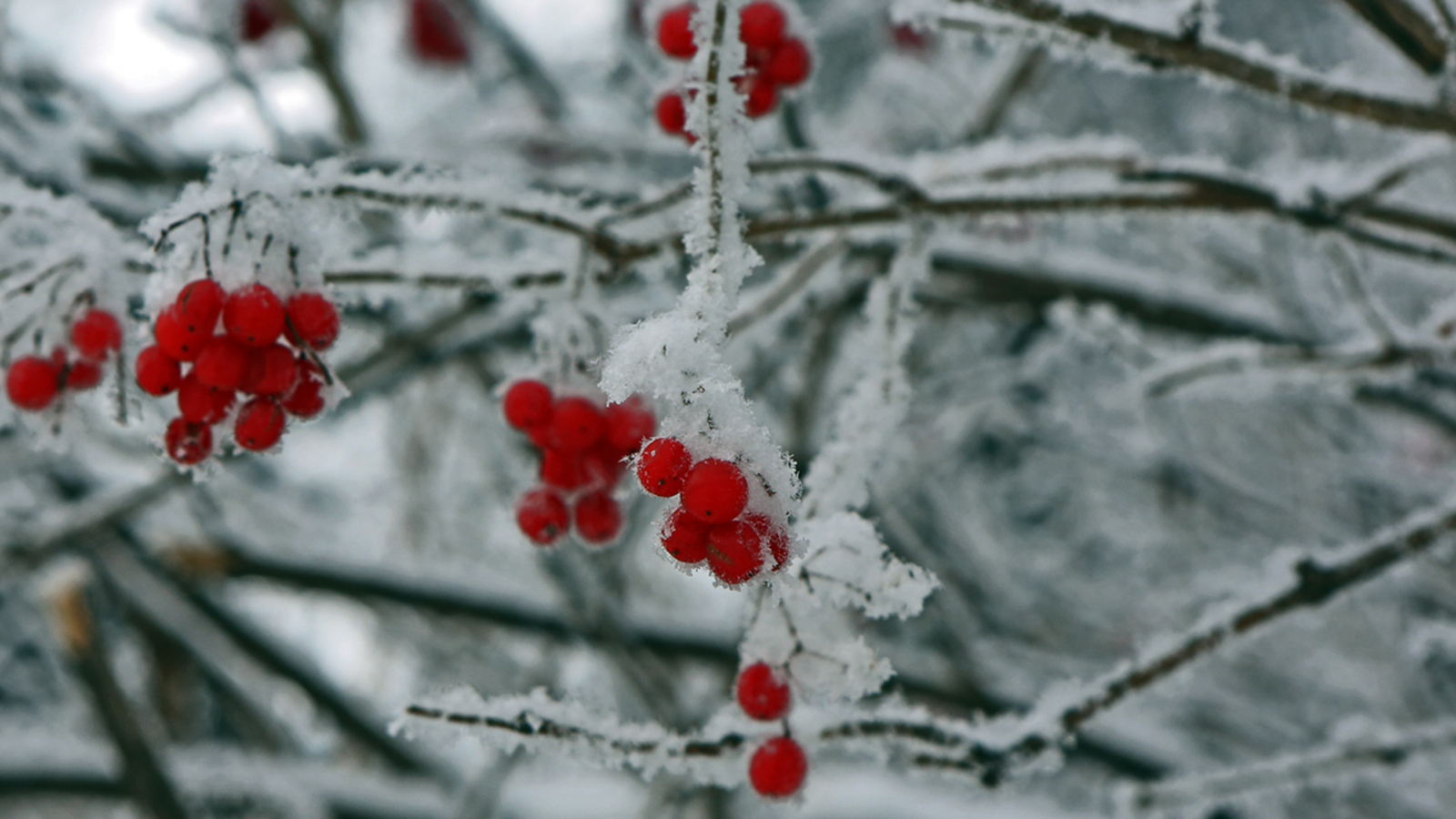 Синоптики сообщили, когда в Башкирии ляжет снег и начнутся холода
