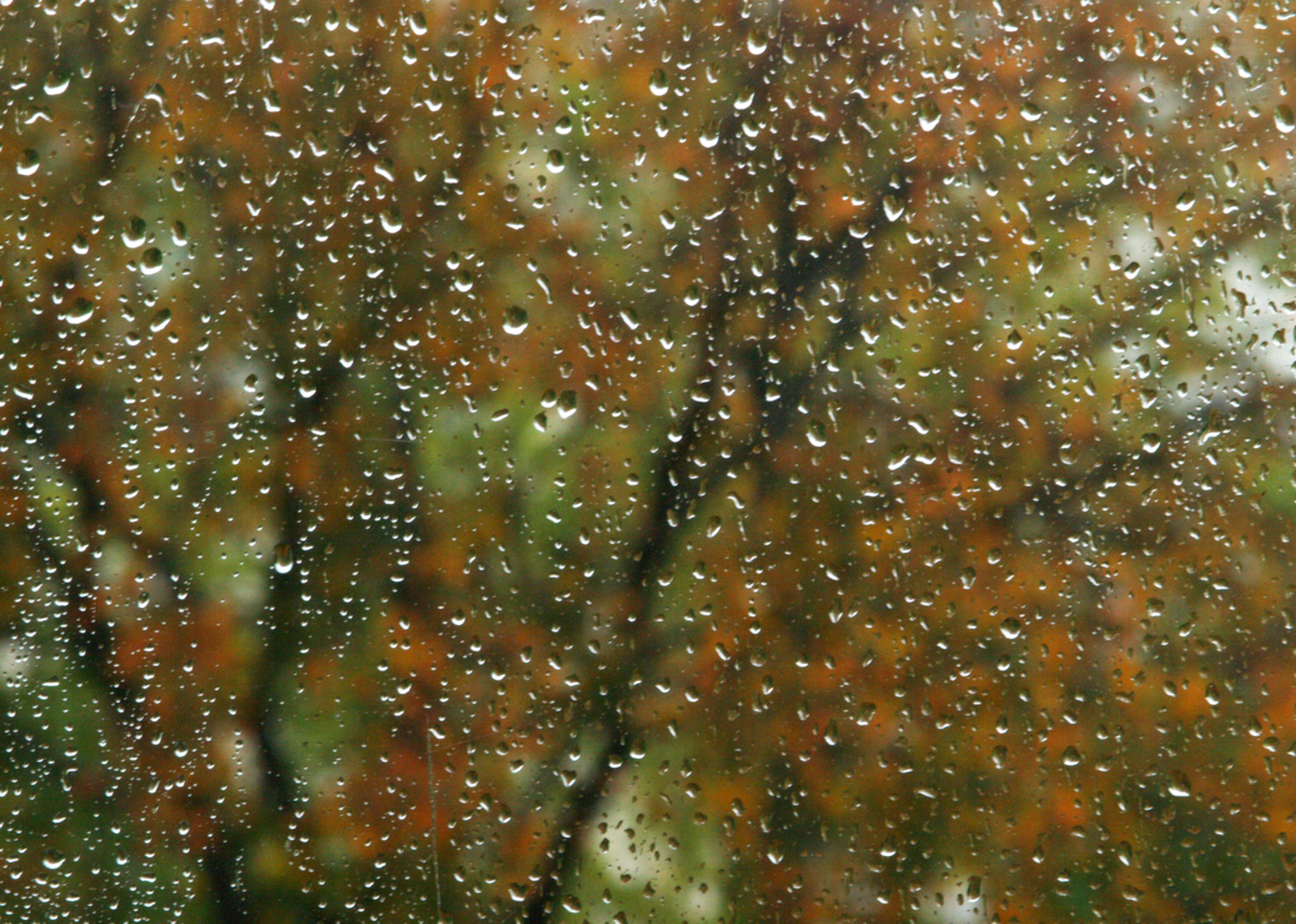 В Башкирии погода в конце ноября будет аномальной