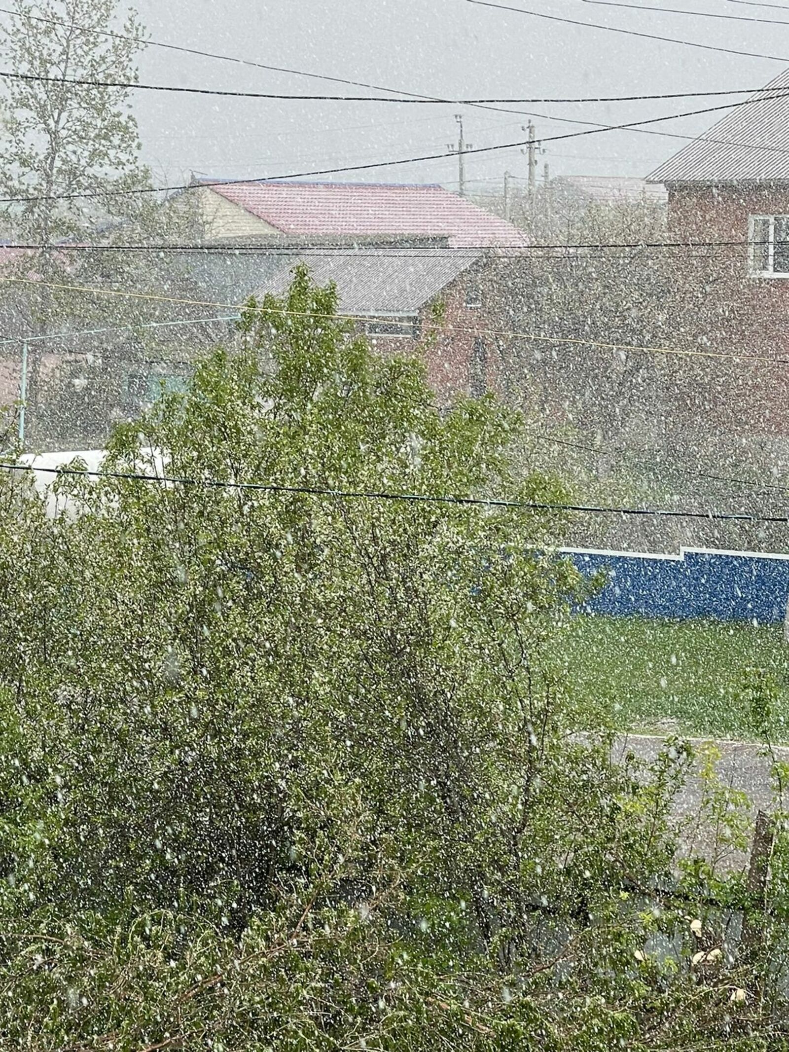 В Благоварском районе Башкирии выпал снег
