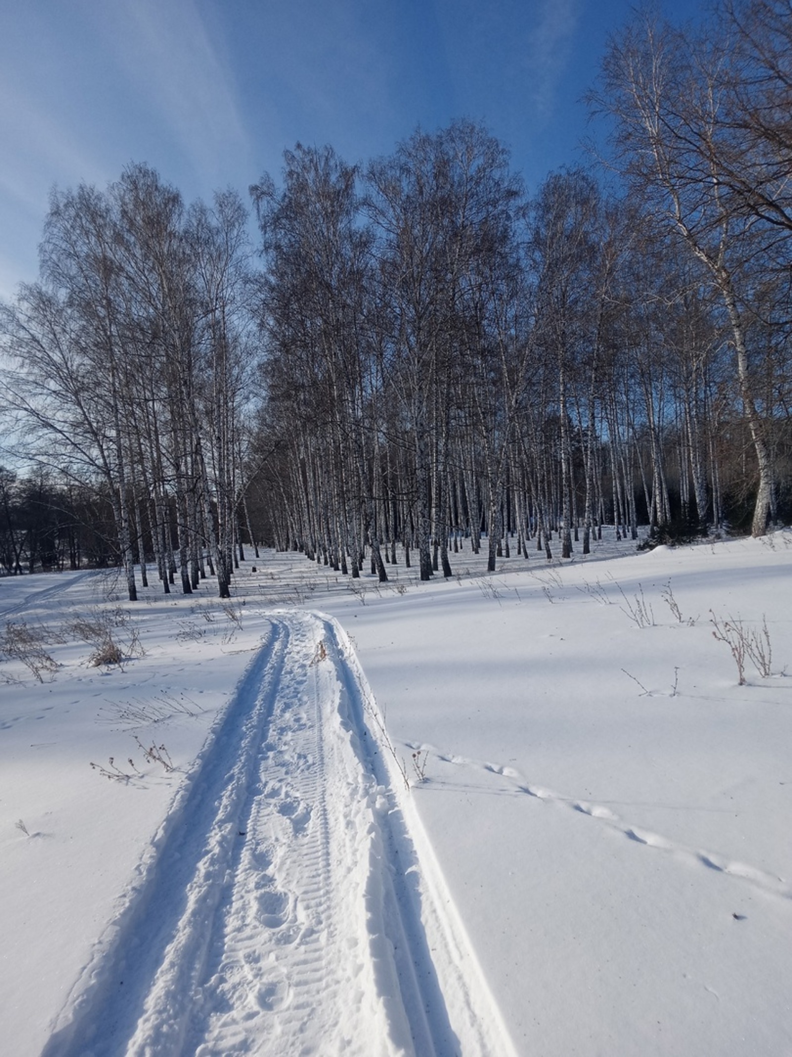 В Башкирию придут зимние морозы