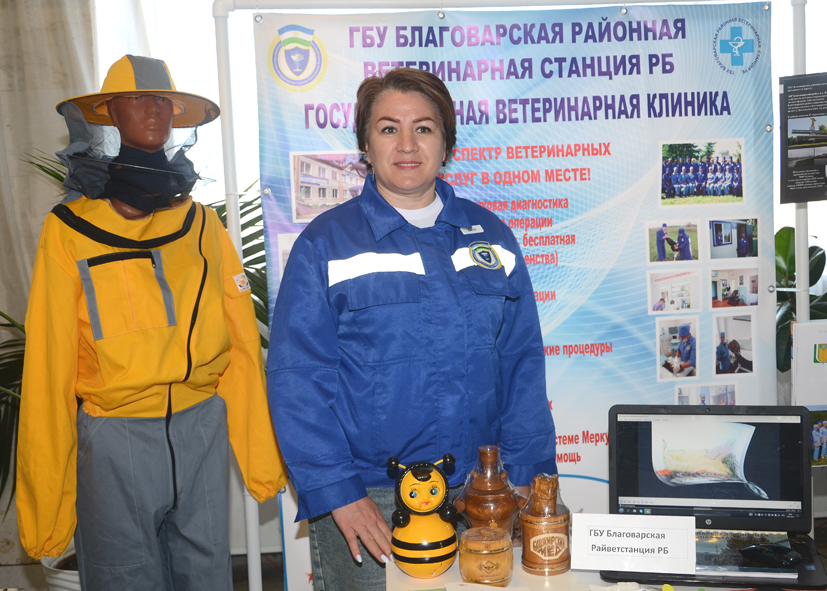 Ярмарка трудоустройства "Работа России"