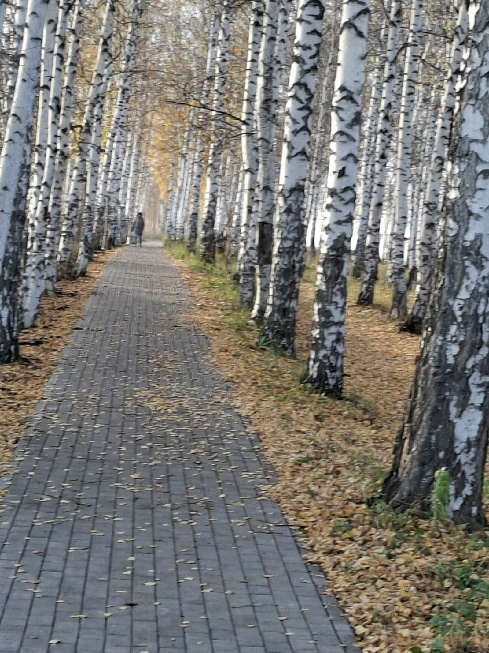 Жителям Башкирии погода готовит сюрприз