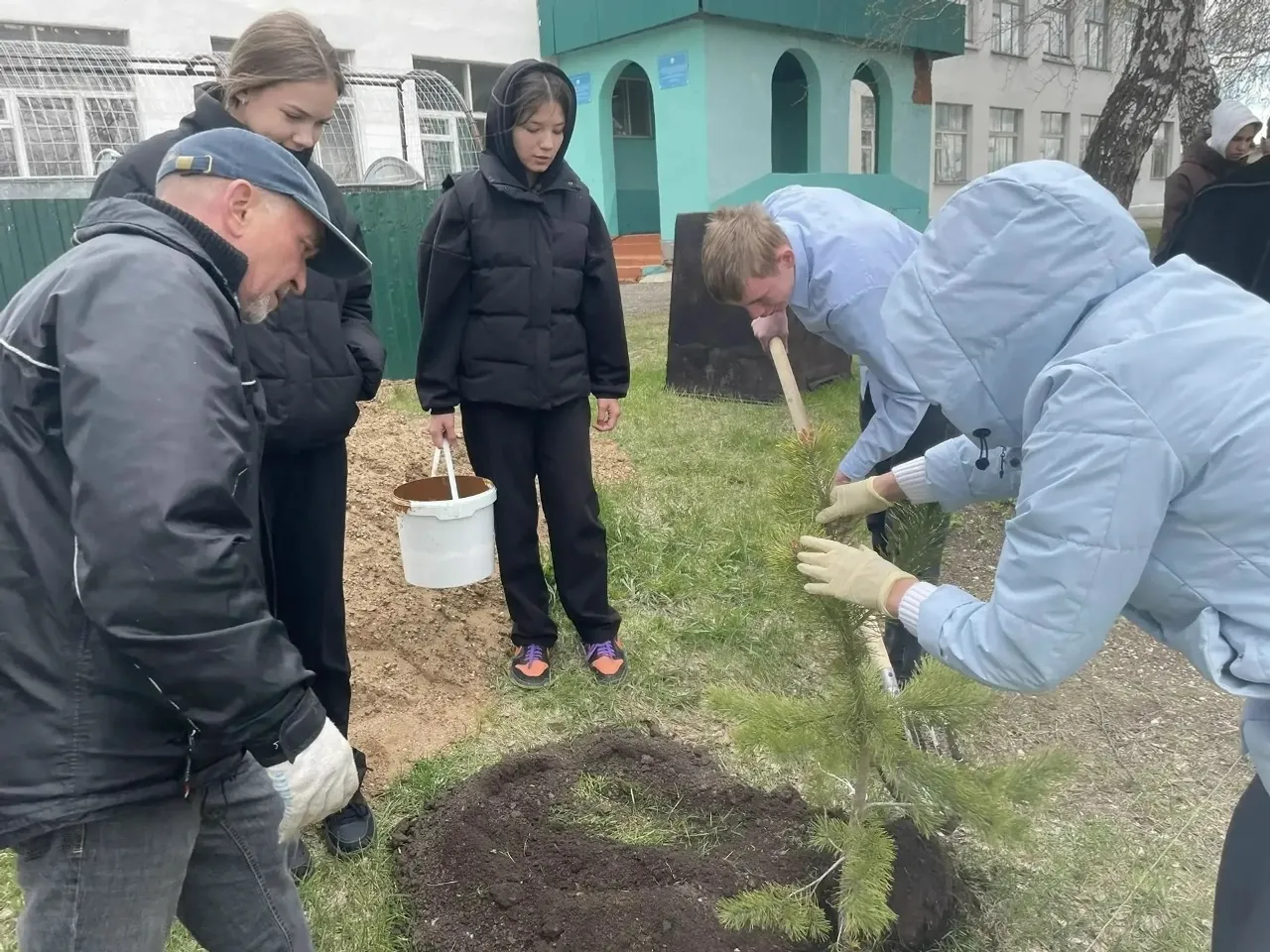 Не дайте засохнуть деревьям живой памяти!