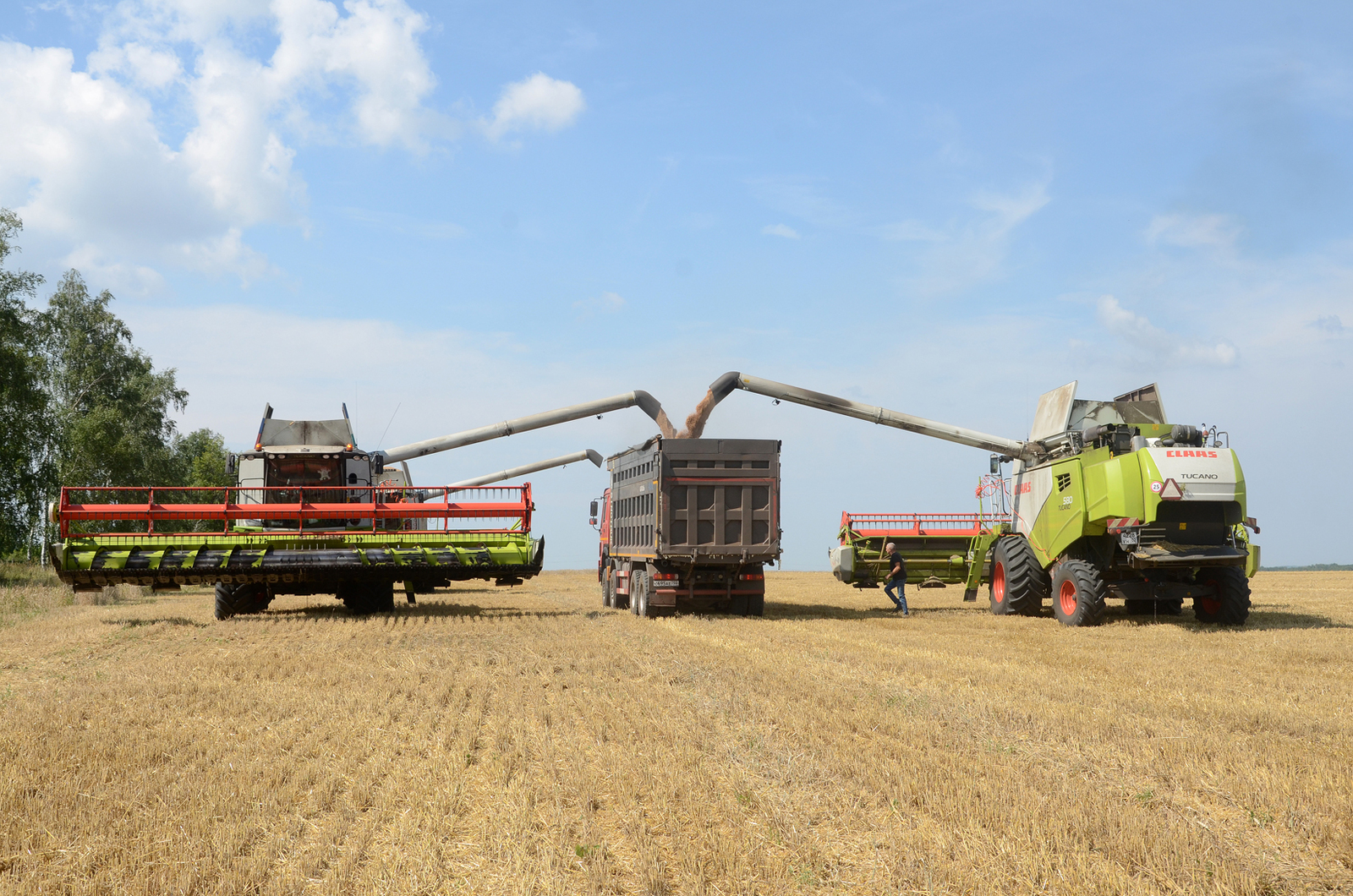 Кучербаевцы достигают высоких урожаев