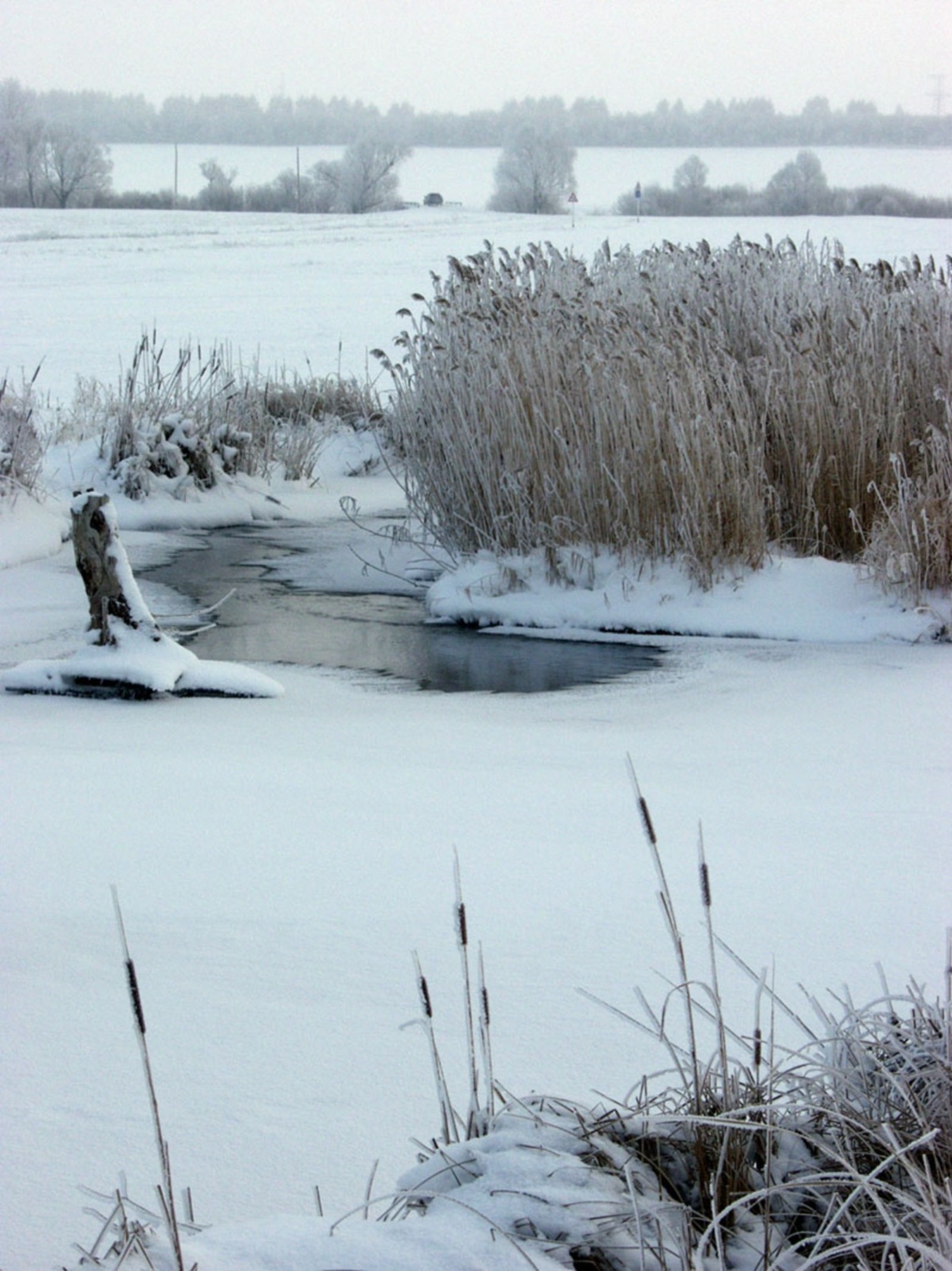 Айрат Нурмухаметов fotobank02.ru