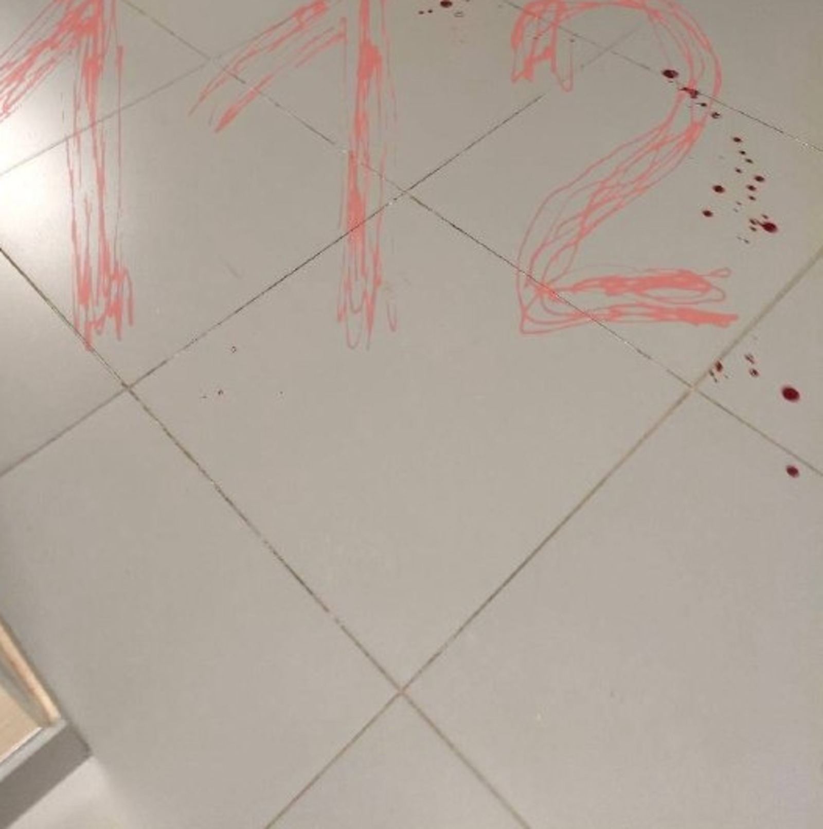 В Татарстане школьник с ножом напал на охранницу