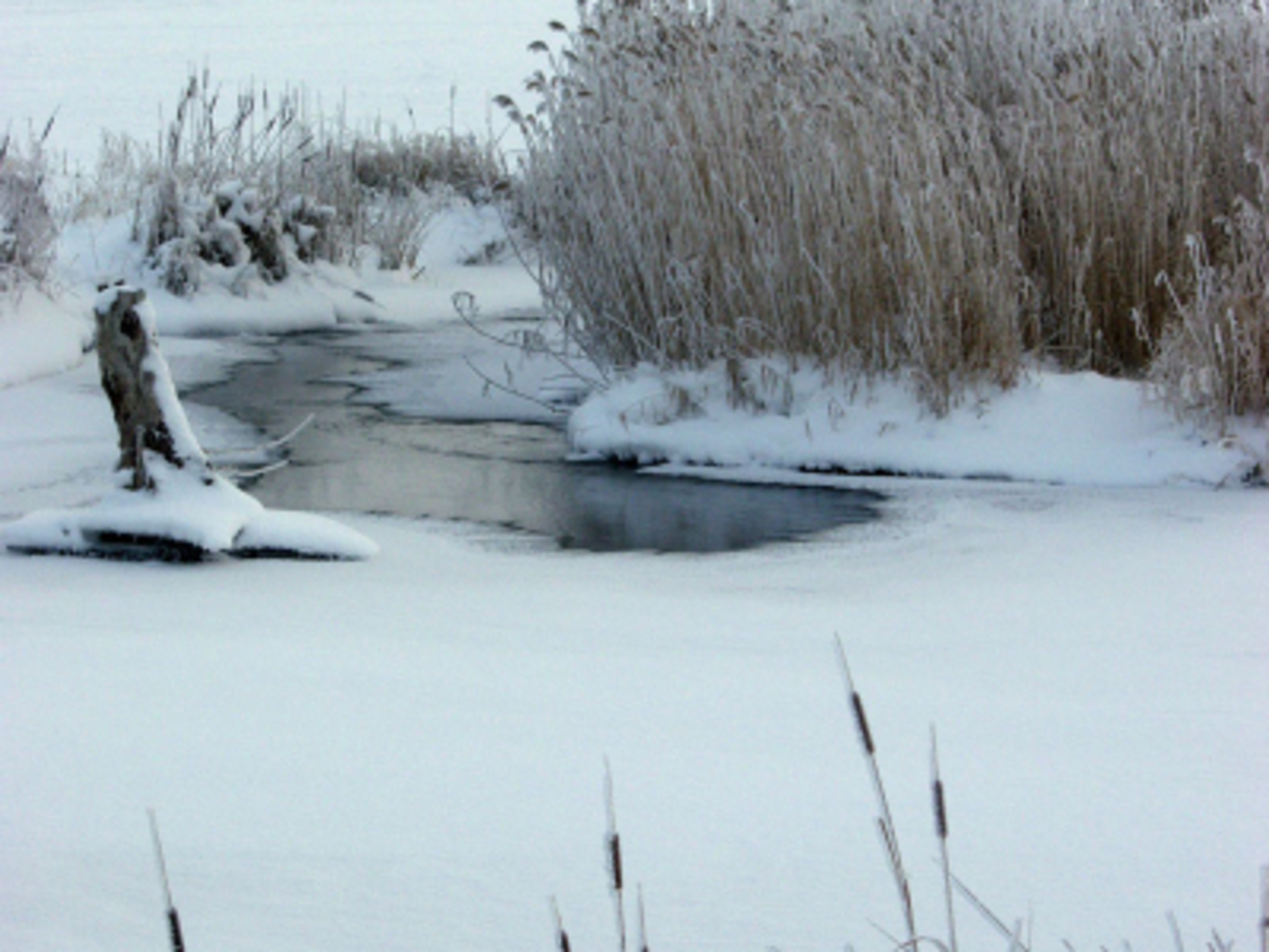 В Башкирии стали спасатели стали свидетелями чрезвычайной ситуации