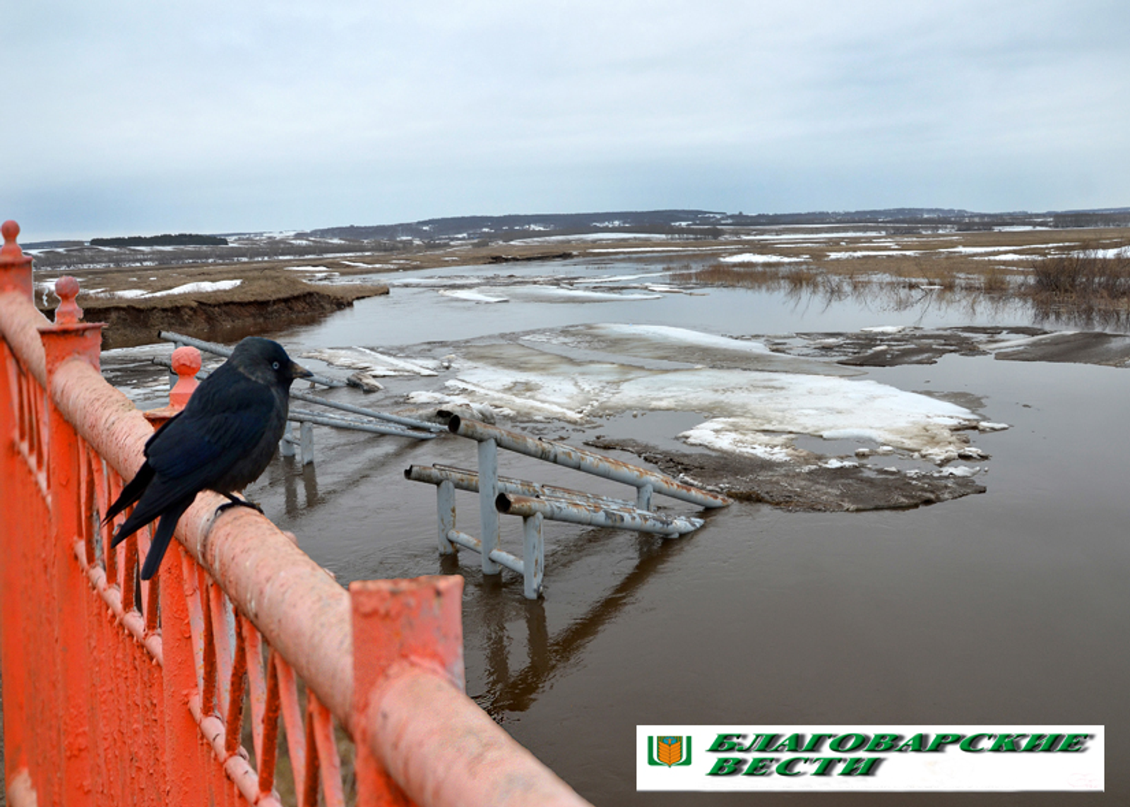48-летний житель Башкирии  лишился иномарки из-за пьяного вождения.