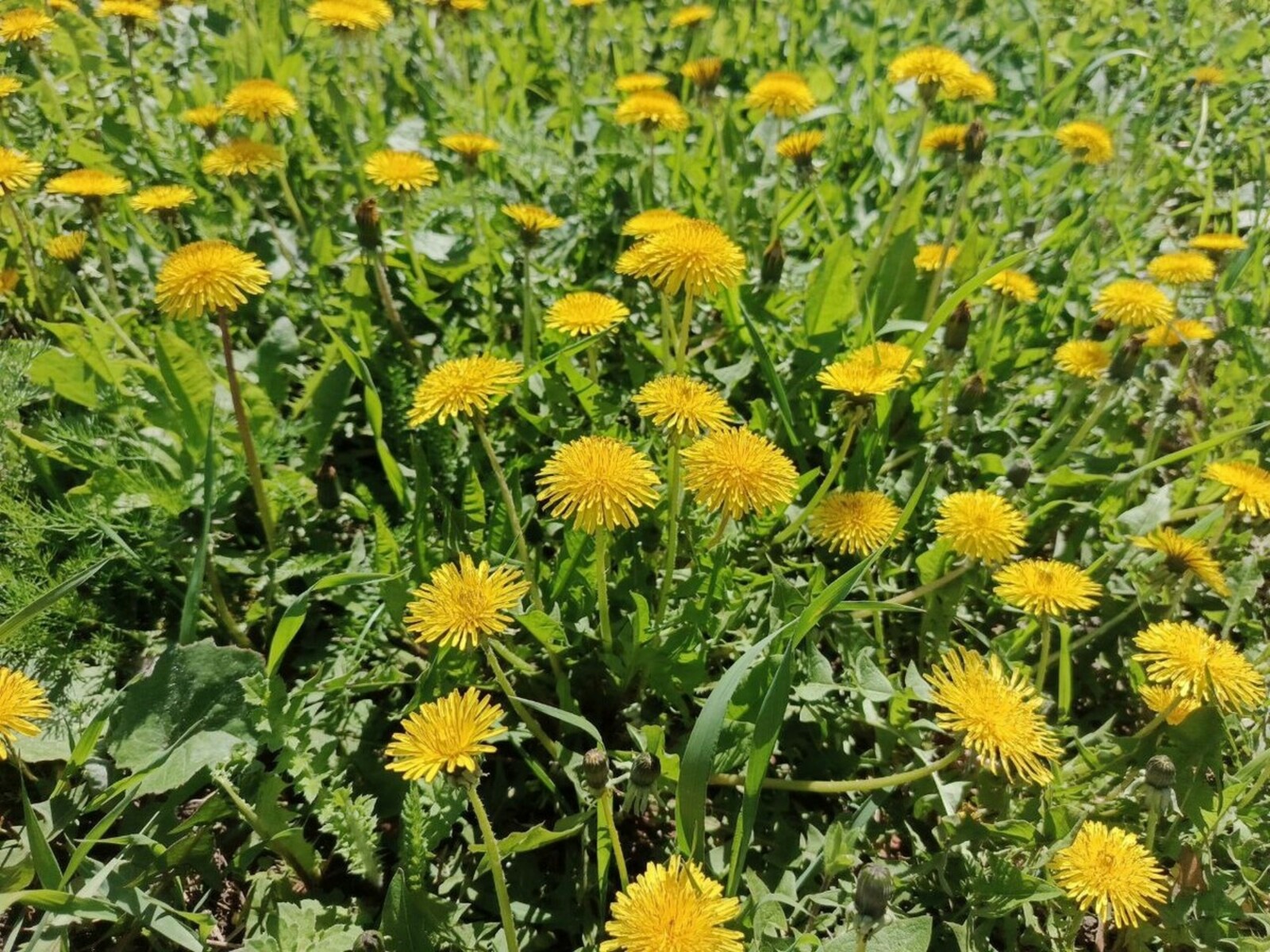 Какая погода ждет жителей Башкирии в апреле?