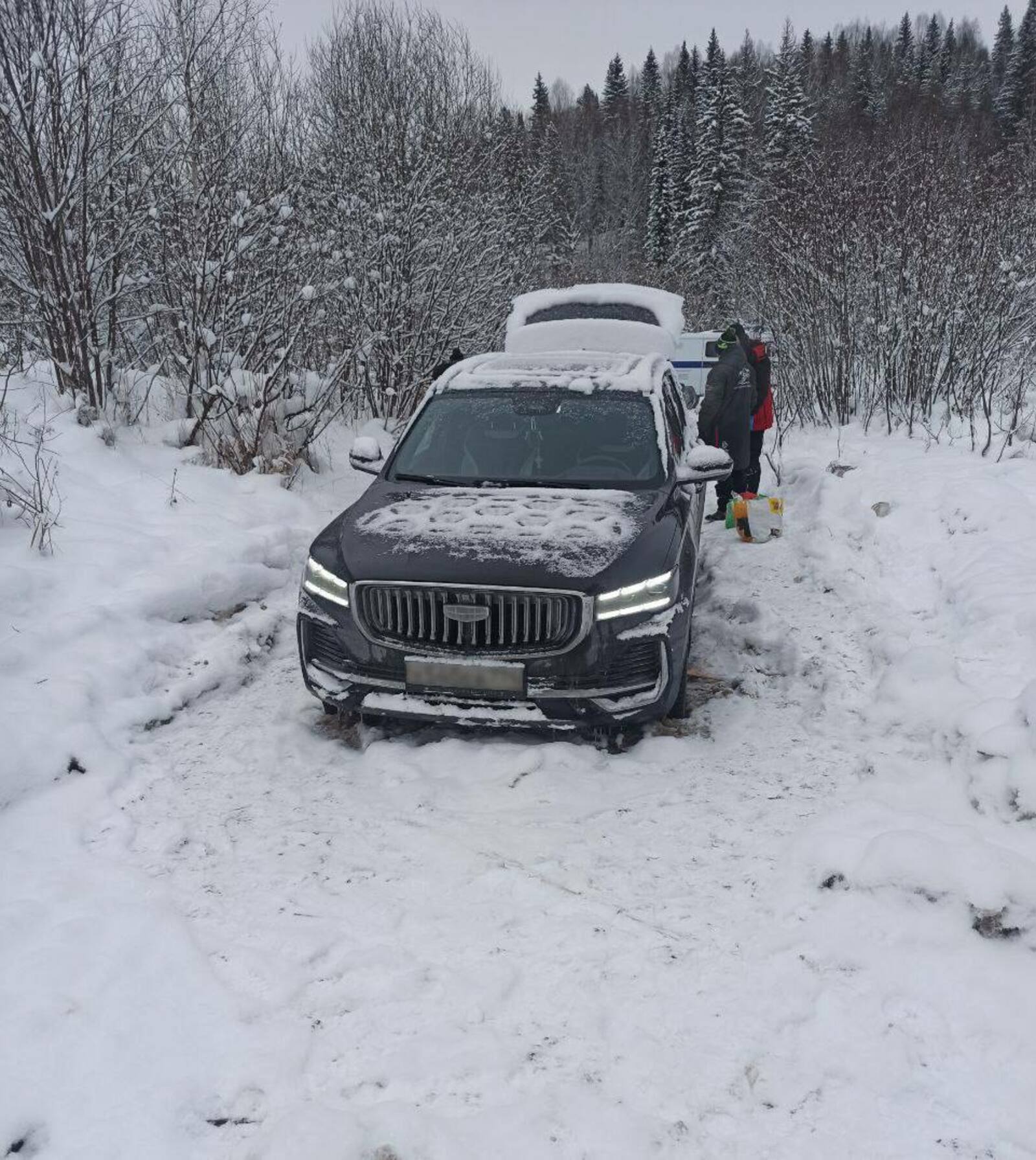 Новогоднюю ночь семья с детьми провела в лесной глуши