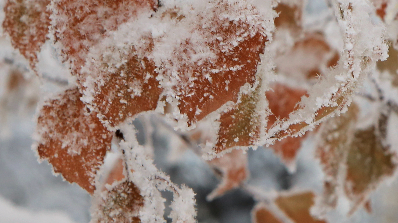 В выходные в Башкирии погода изменится