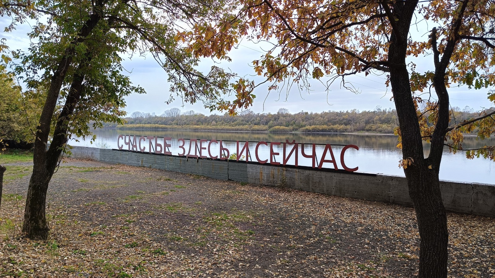 Валерия Шахова