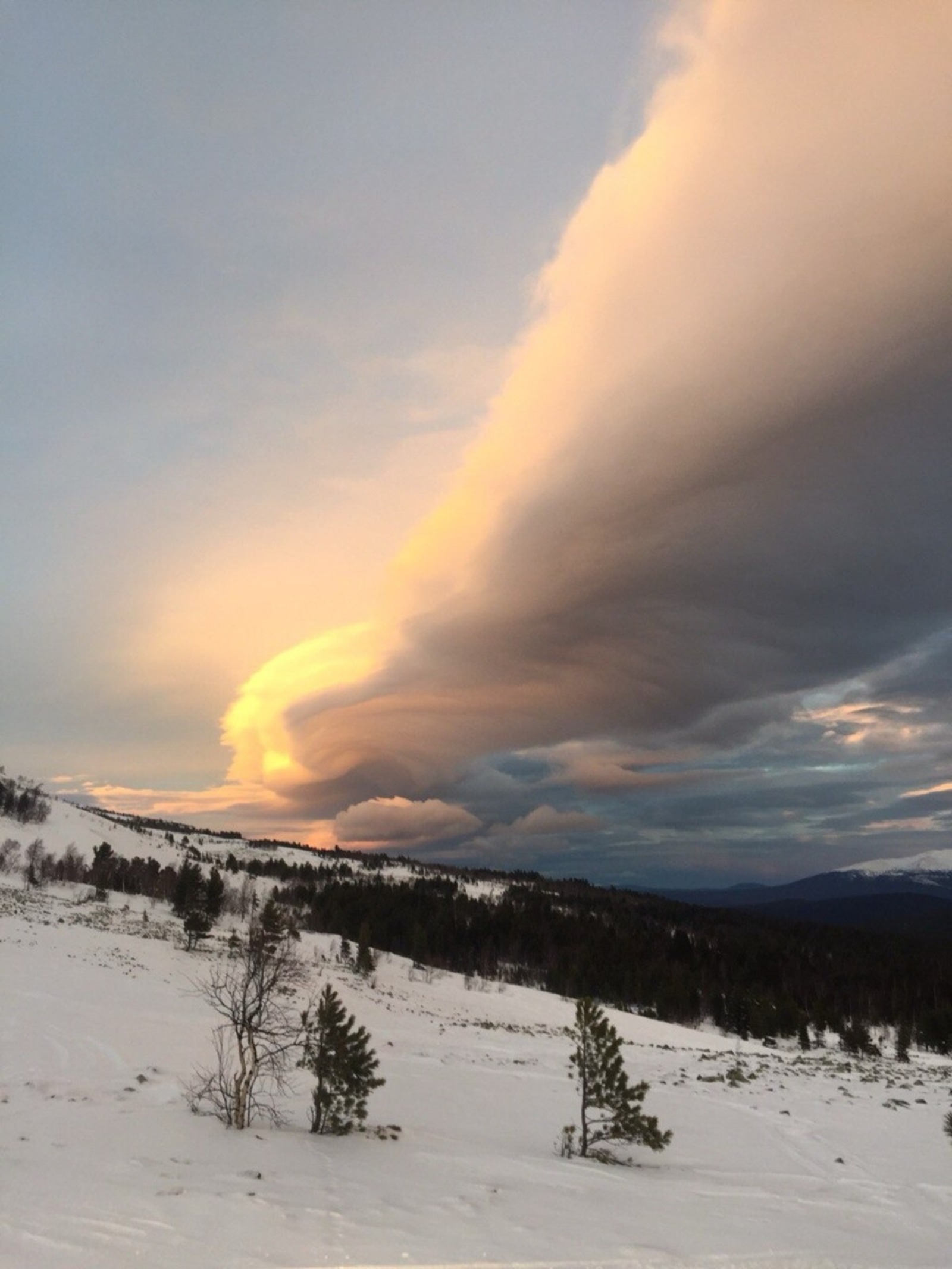 Почему туристы из  Башкирии  не выжили  на плато Кваркуш?
