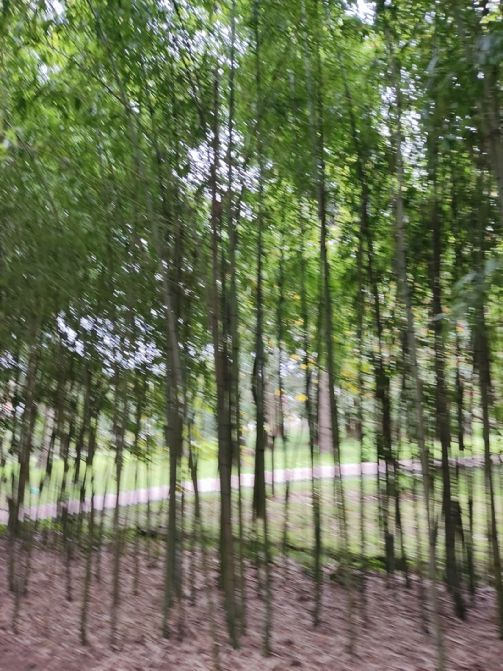 Конкурс рисунков "Мир красками добра"