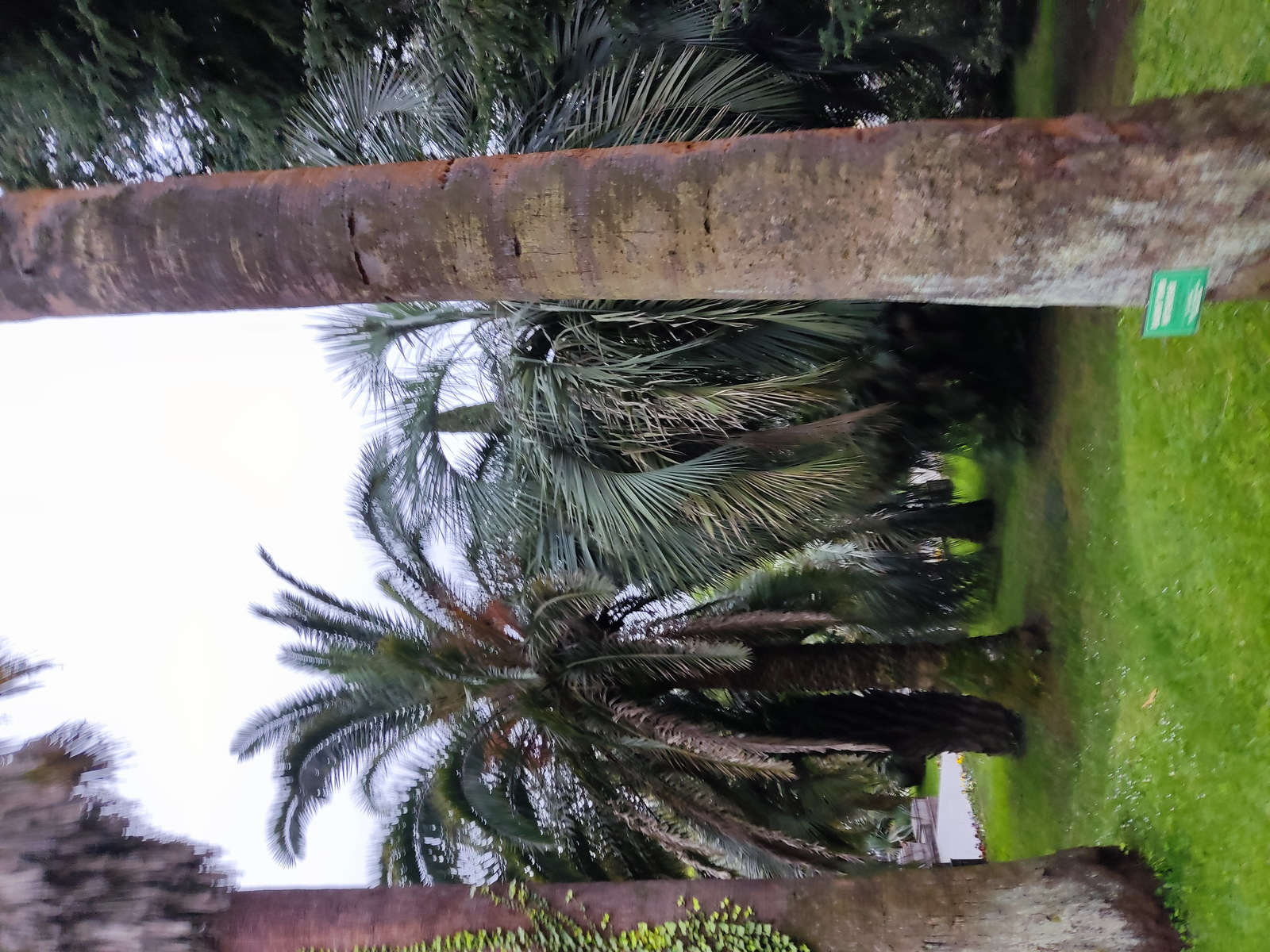 Жители Башкирии отдали мошенникам шесть млн рублей за  день