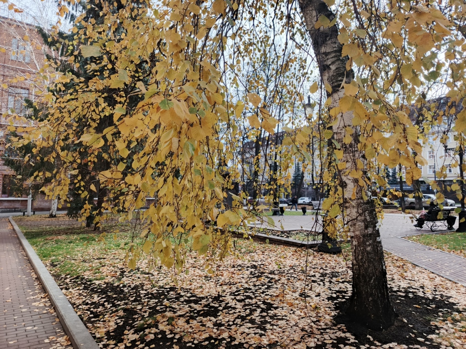 В Башкирии резко потеплеет