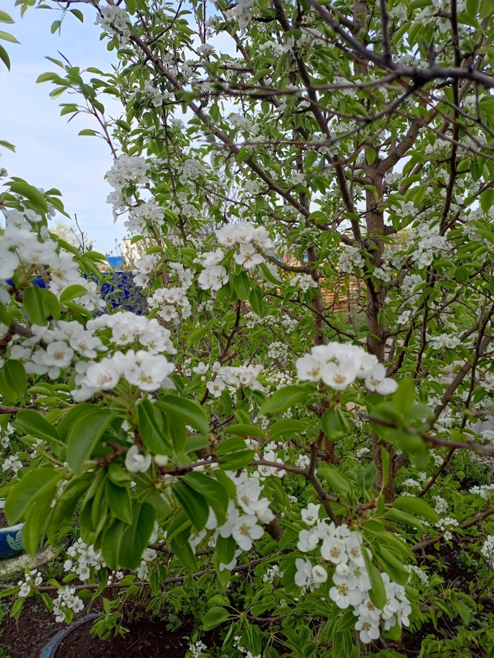 Жителям Башкирии сообщили неожиданный прогноз погоды на конец мая и июнь