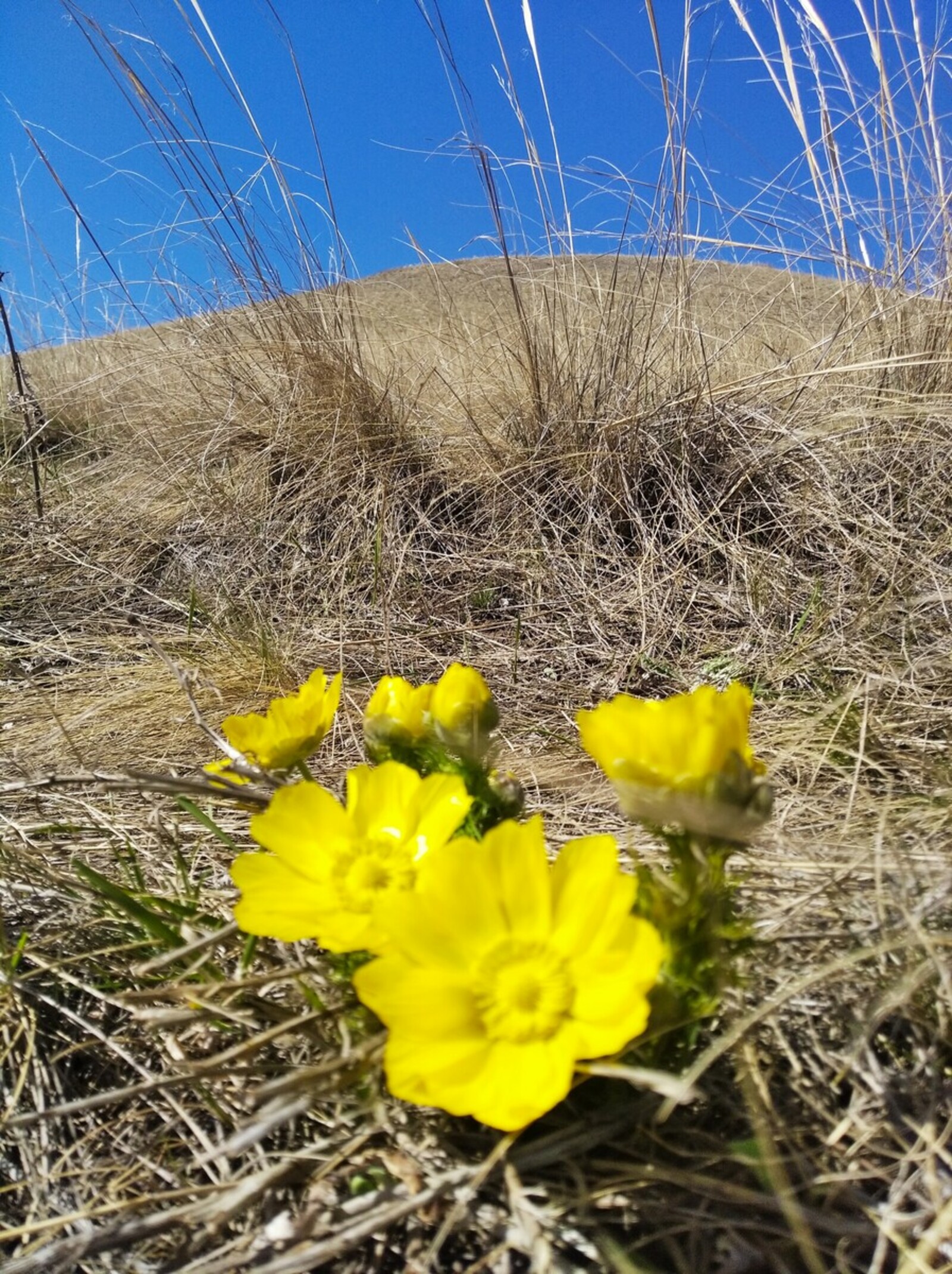 Погода в апреле удивит всех