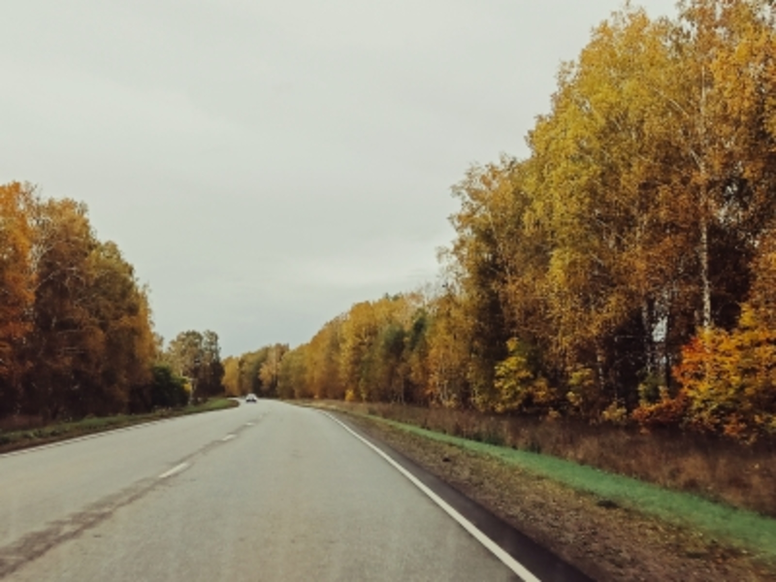 Синоптики сообщили жителям Башкирии, когда  прекратятся дожди