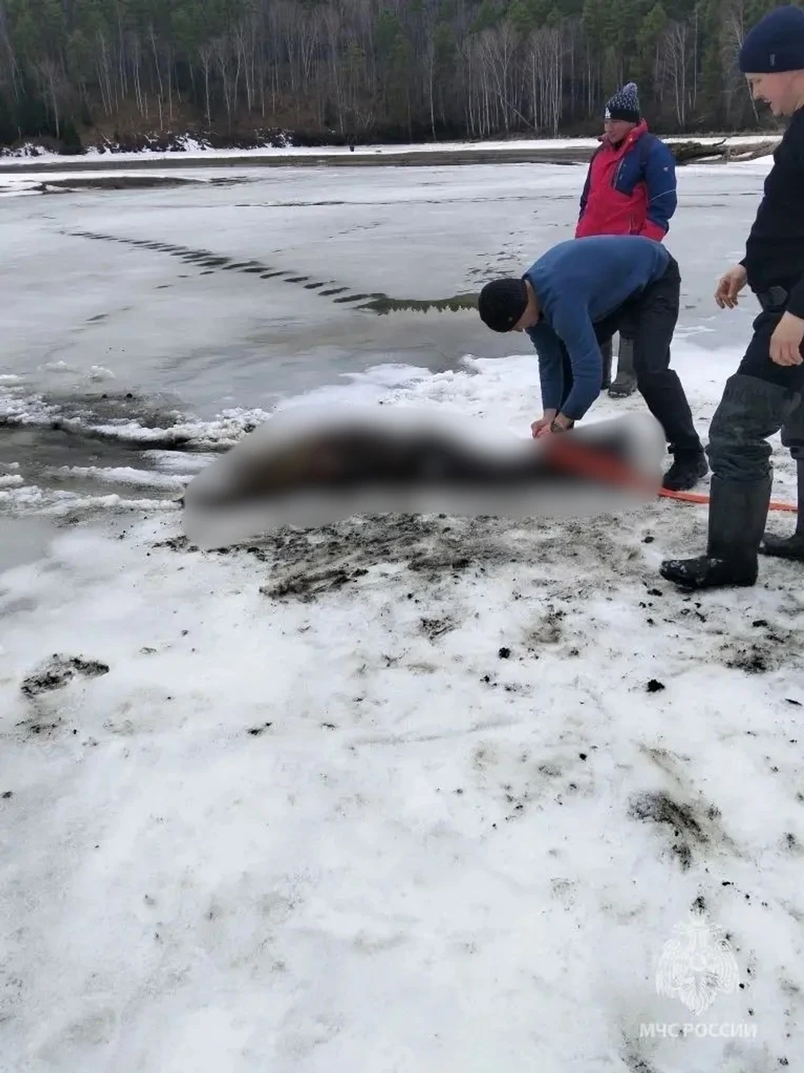 В Башкирии в пруду обнаружили труп мужчины