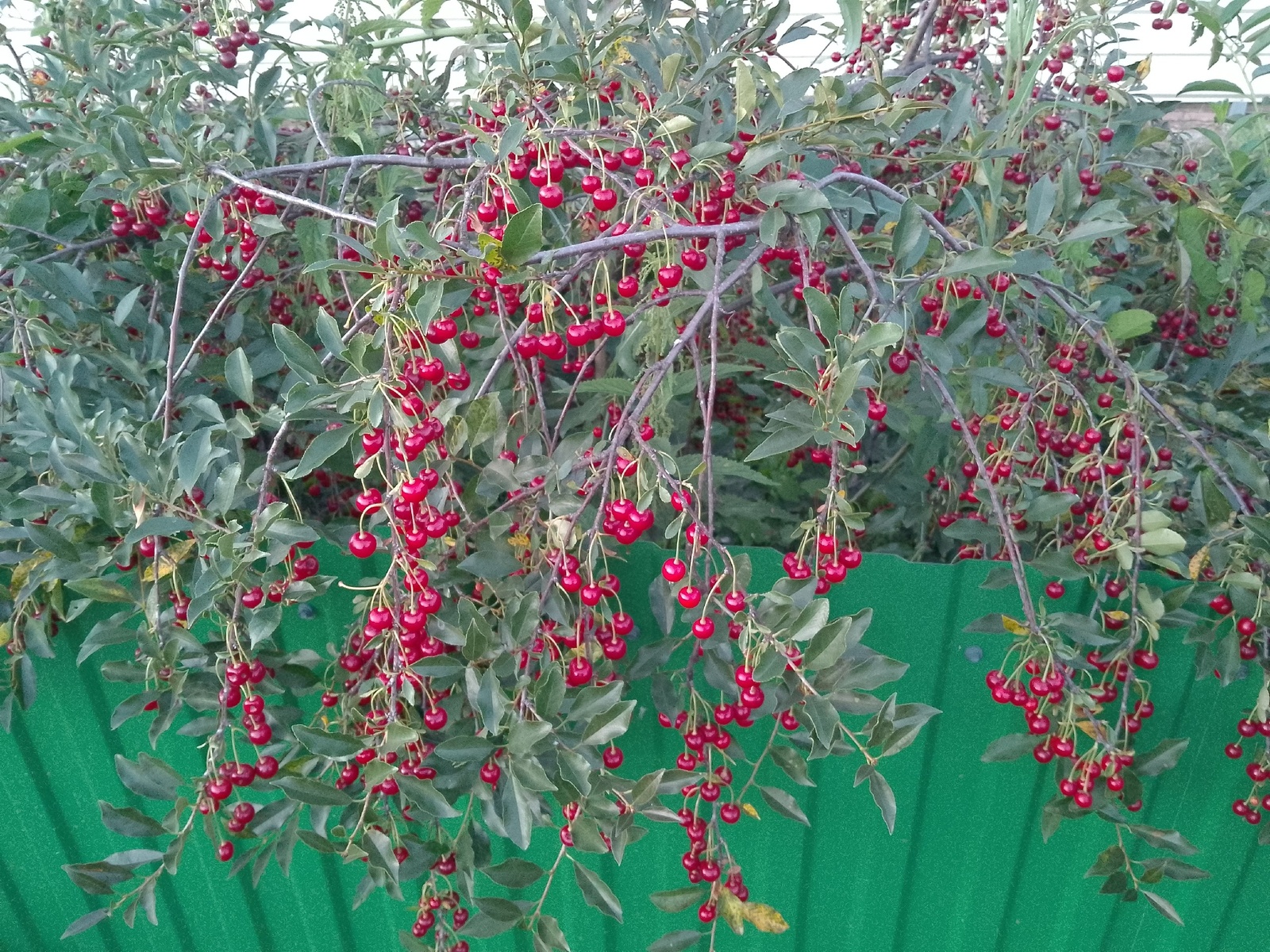 Погода в Башкирии испортится