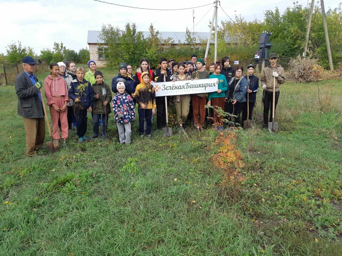 В Благоварском  районе стартовал осенний этап акции «Зеленая Башкирия»