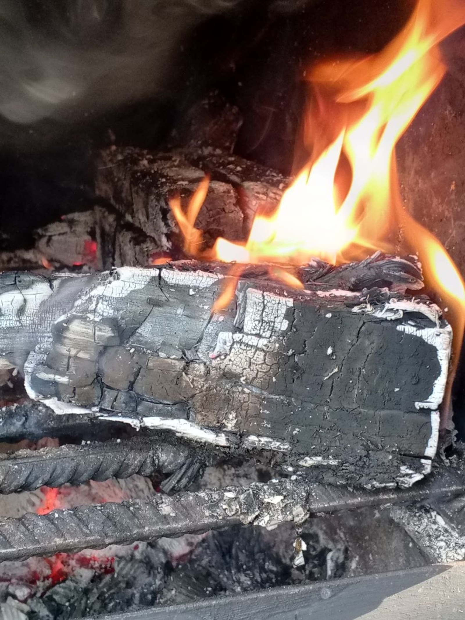 В Башкирии сообщили о 176 погибших в пожарах