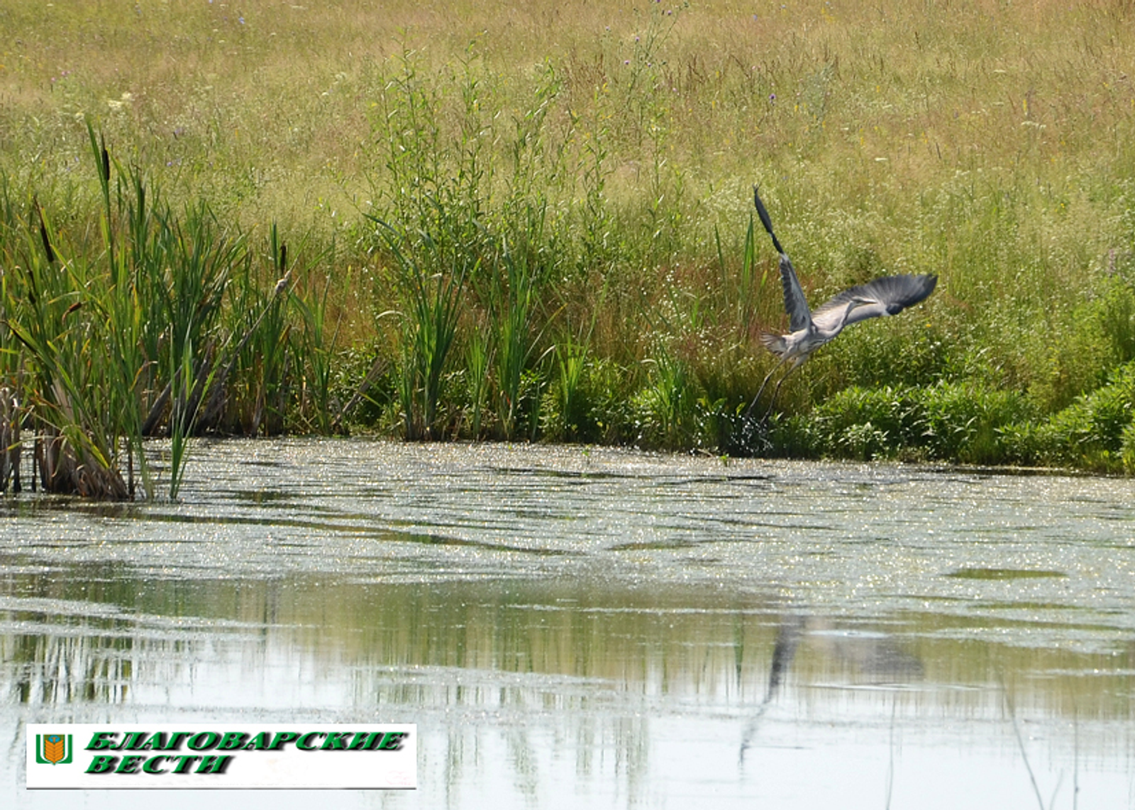 В Башкирии состоится спортивное шоу "Рекорд мира силачей Башкортостана"