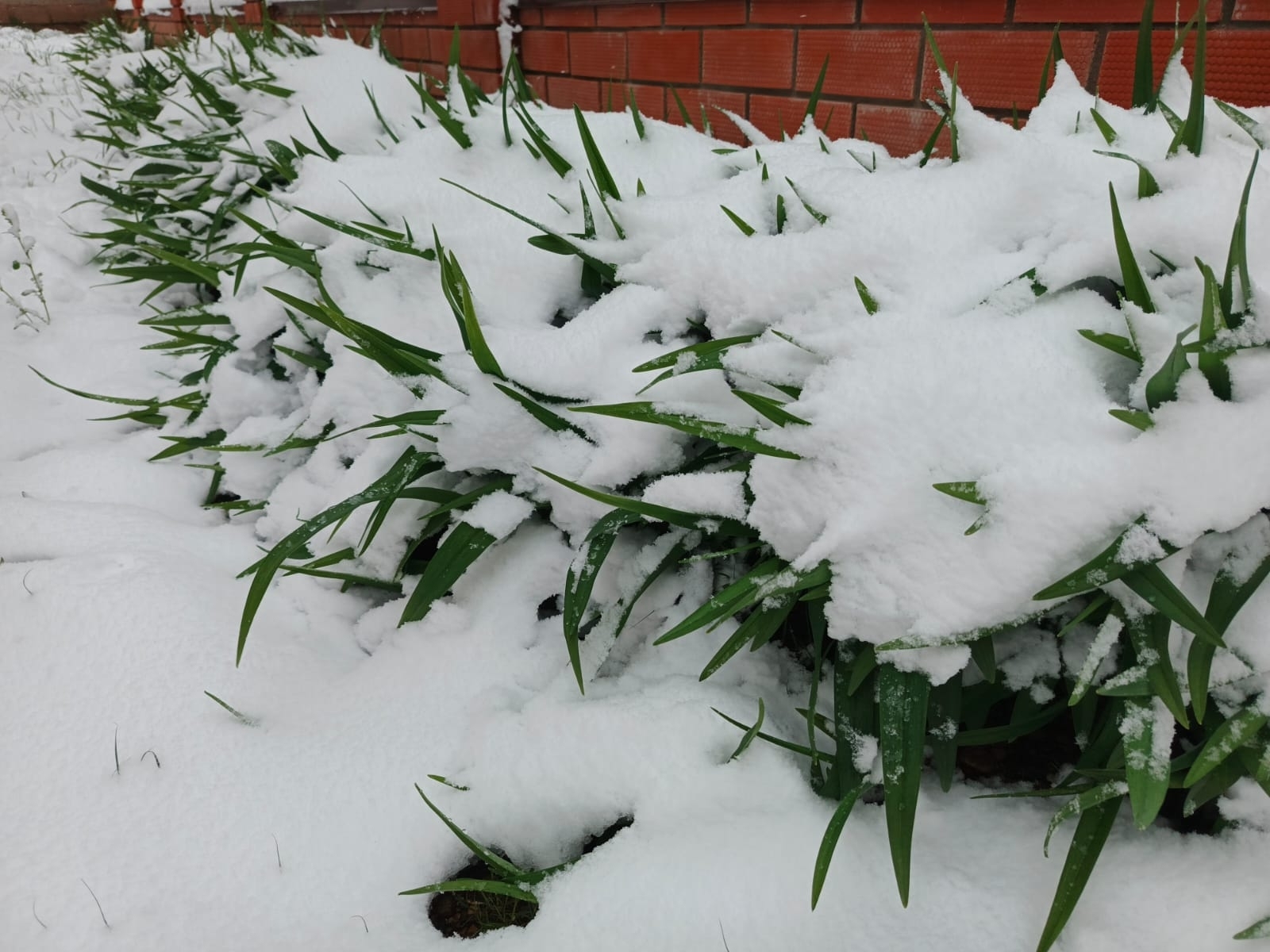 Башкирию надвигается мощное арктическое вторжение
