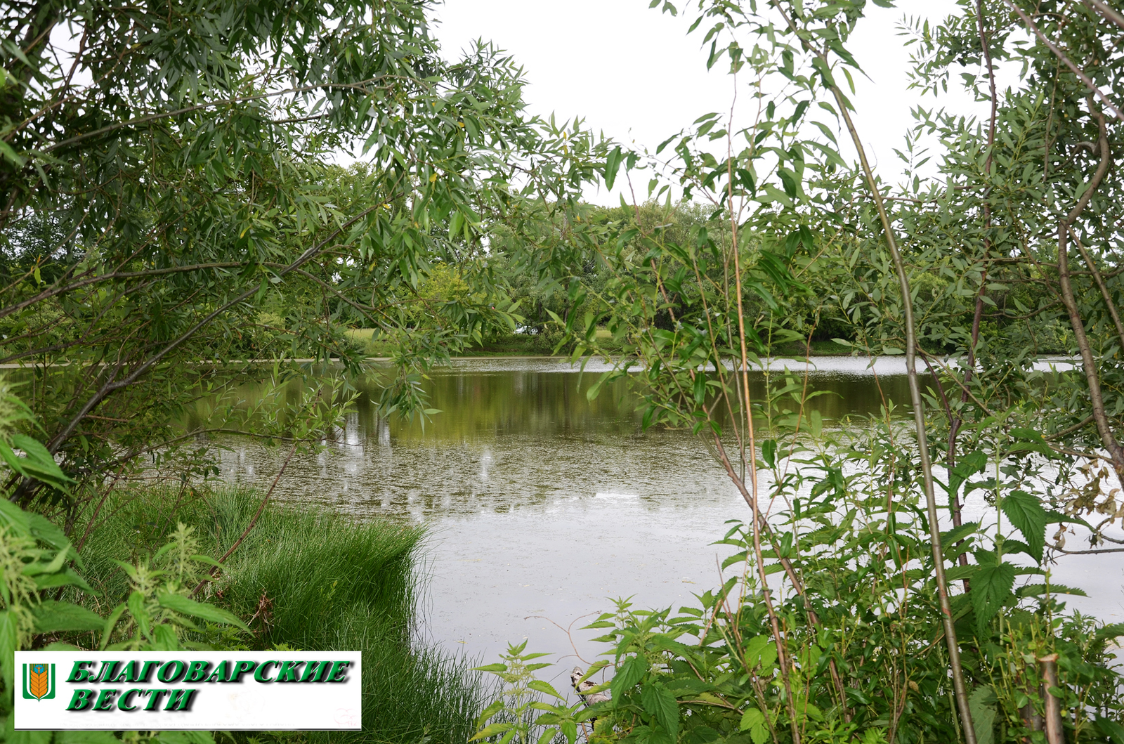 В Башкирии  многодетные матери стали наркокурьерами