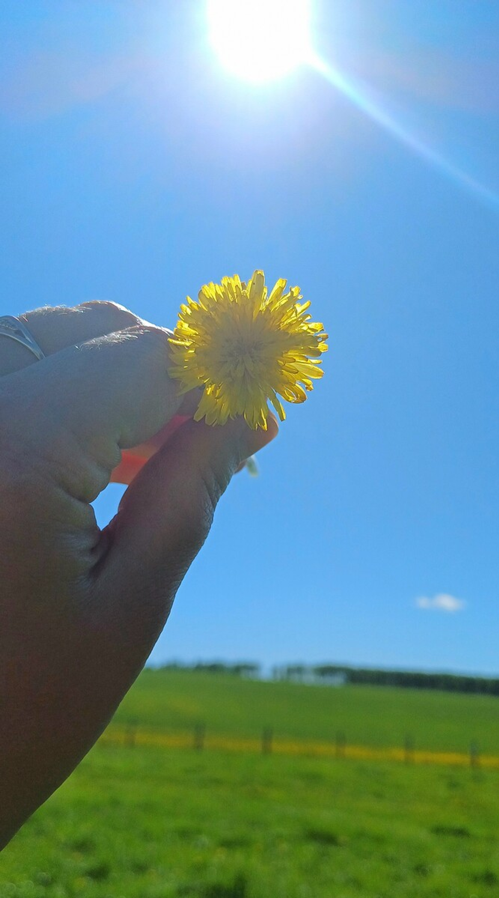 Синоптики удивили прогнозом на предстоящие выходные