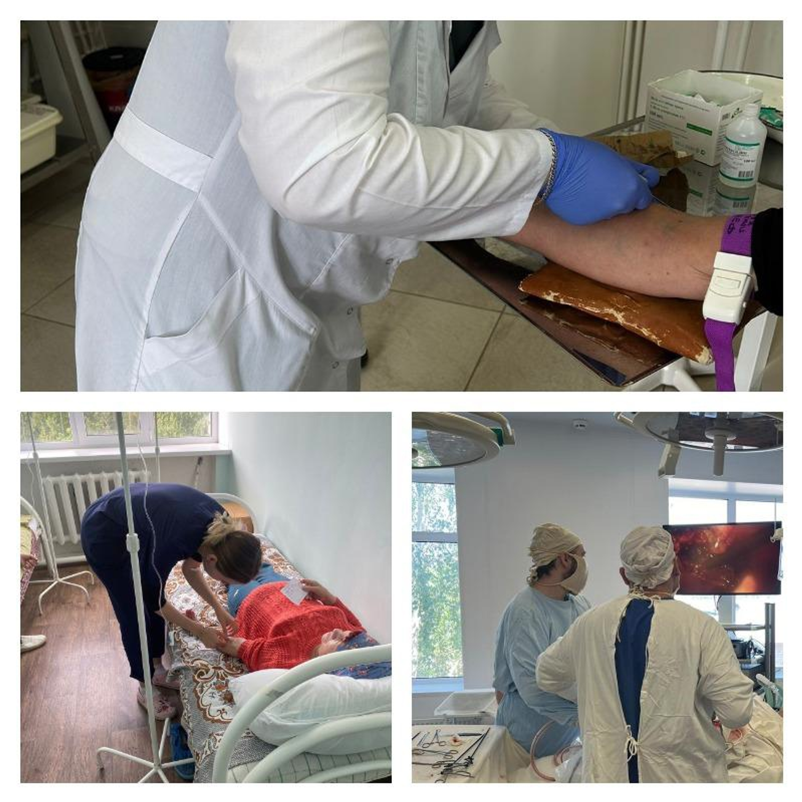 В Башкирии зафиксировали случаи заболевания опасным вирусом