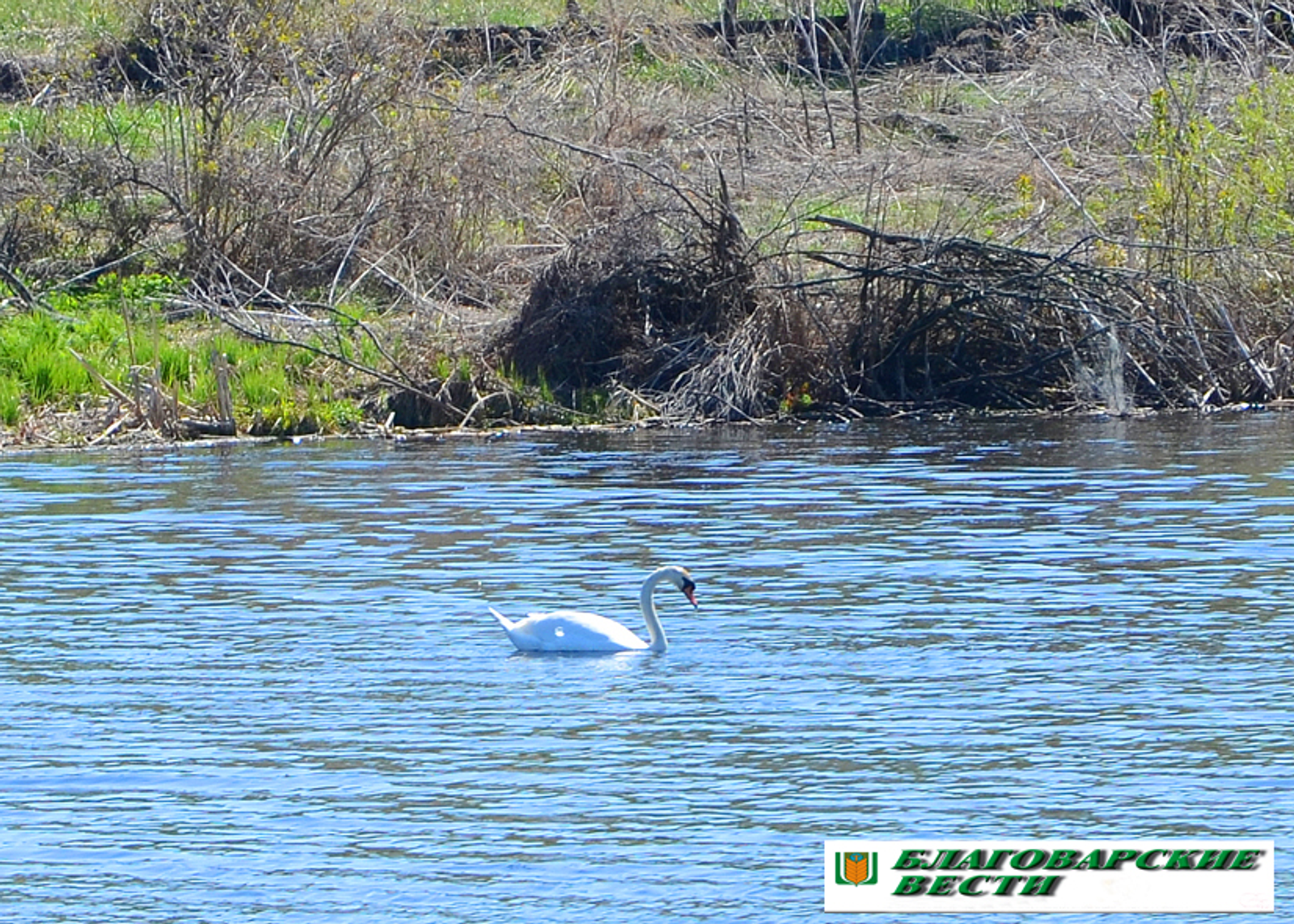 Хабиров определил ответственных за реализацию нацпроектов в Башкирии