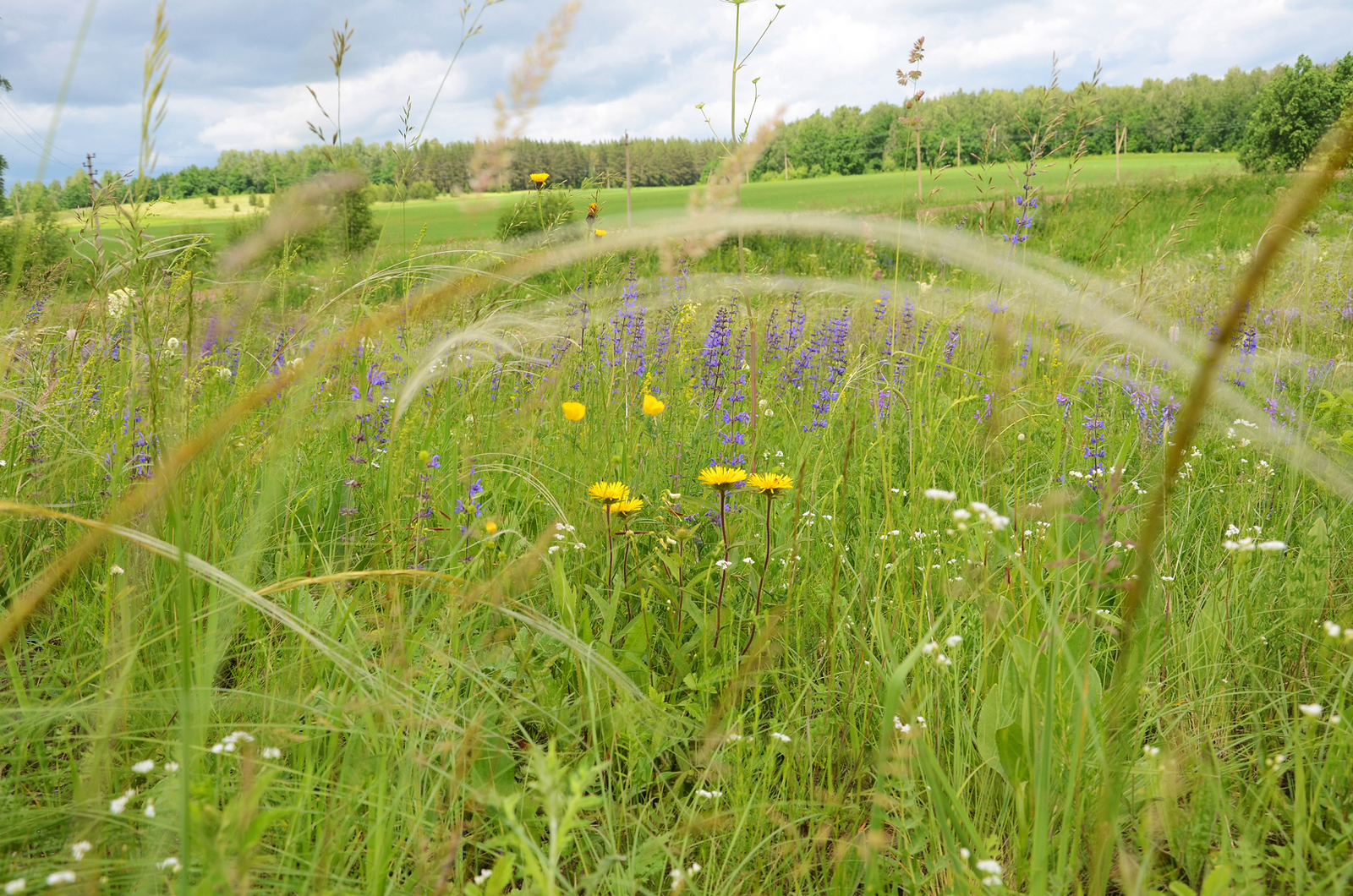 Предпринимателям Башкирии выделили 28 млрд рублей за счёт средств нацпроекта