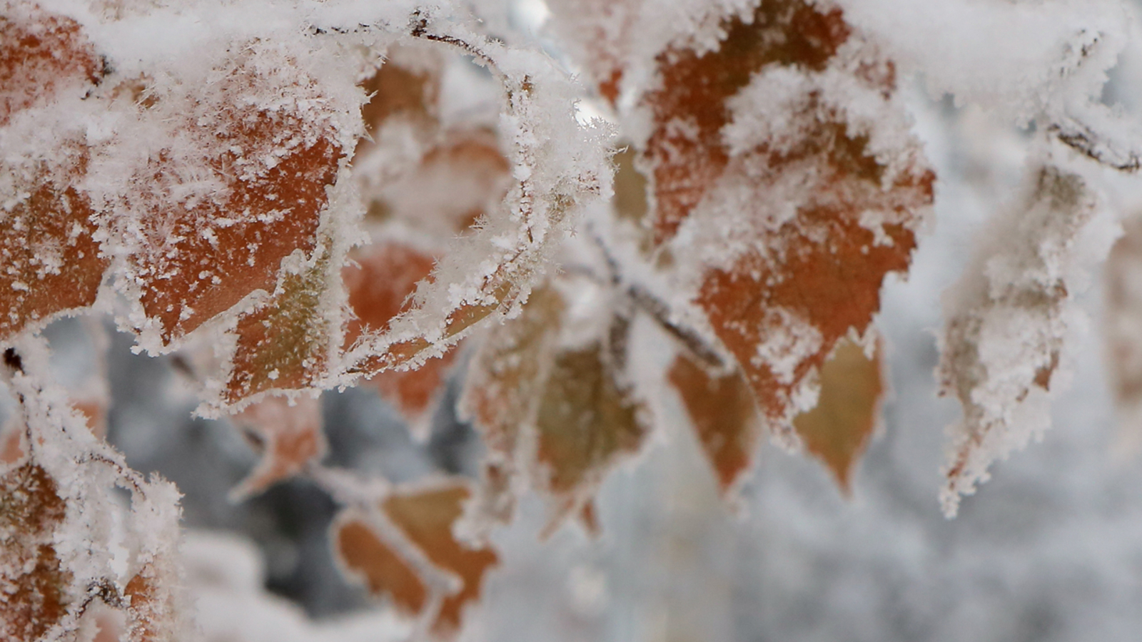 Синоптики обещают в выходные жителям Башкирии дожди со снегом
