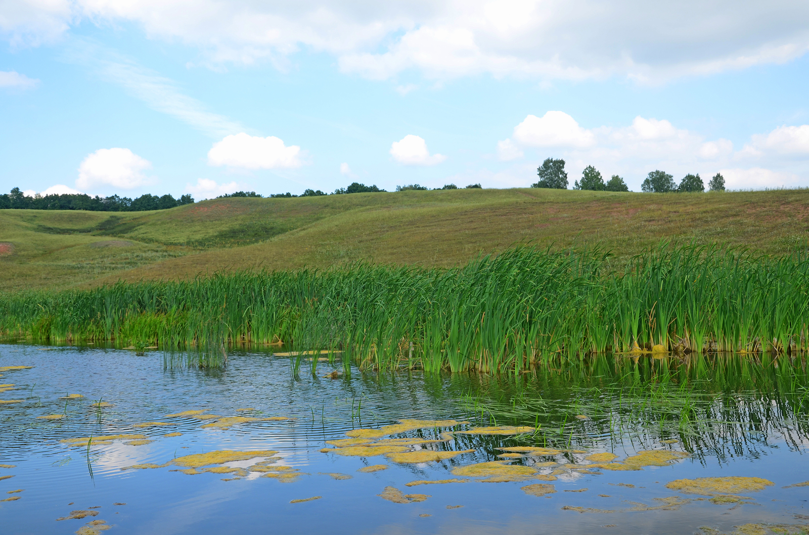 Жительница Башкирии попала под катер в Турции