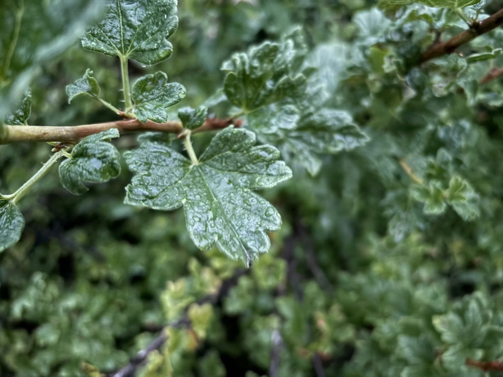Когда в Башкирию вернется тепло и прекратятся дожди