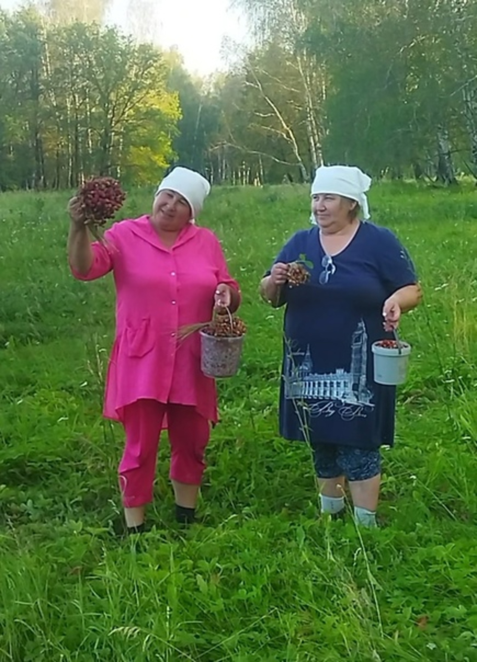 Жителям Башкирии сообщили, какой будет погода весной и летом 2024 года