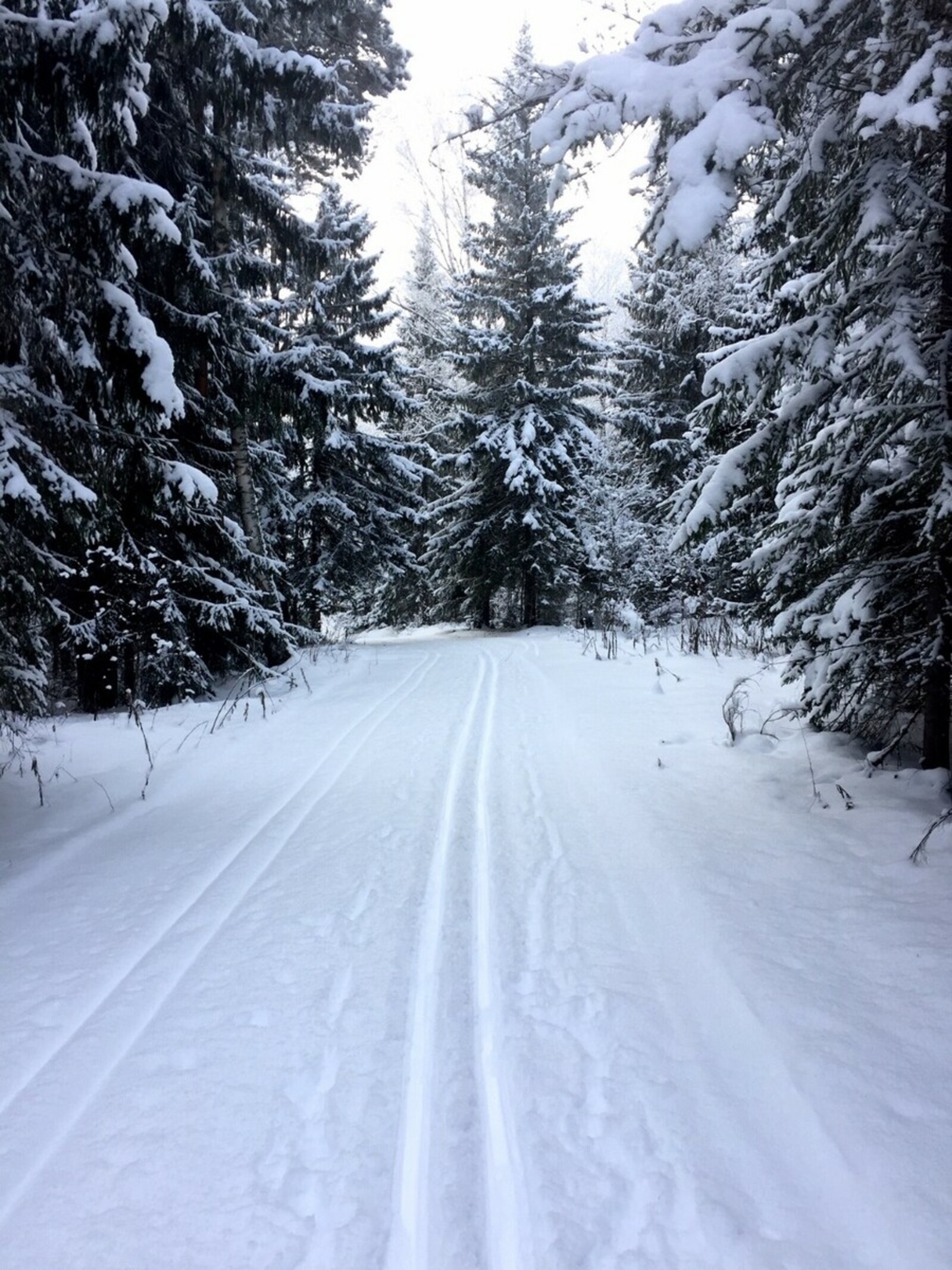 В Башкирии потерялись 7 детей