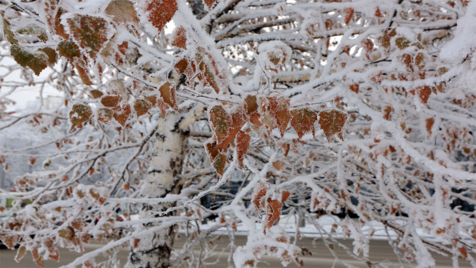 В Башкирии резко похолодает