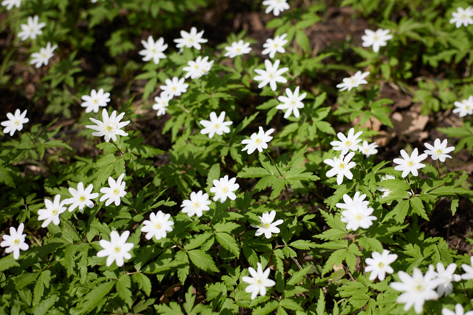 В Башкирии погода в апреле и мае удивит